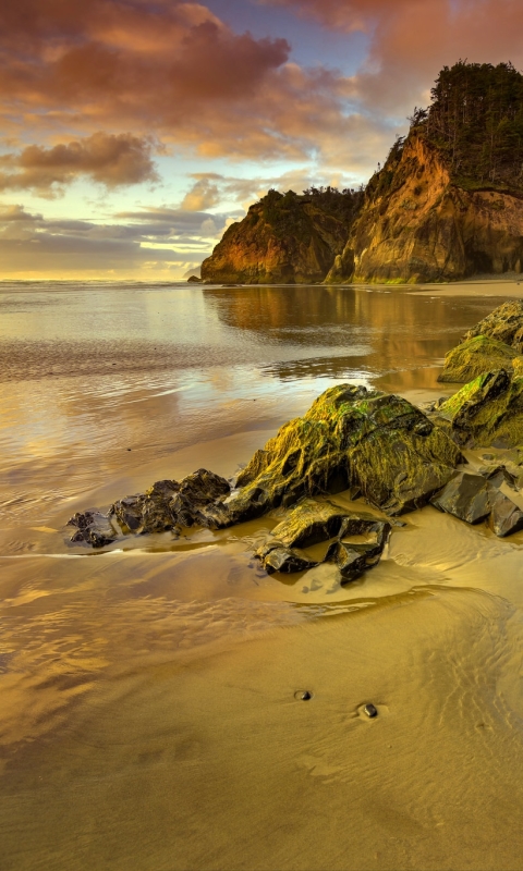 Download mobile wallpaper Nature, Beach, Sand, Horizon, Coast, Ocean, Earth, Coastline for free.