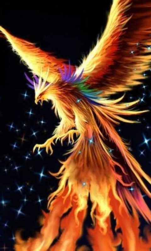 Download mobile wallpaper Fantasy, Fire, Bird, Phoenix, Fantasy Animals for free.