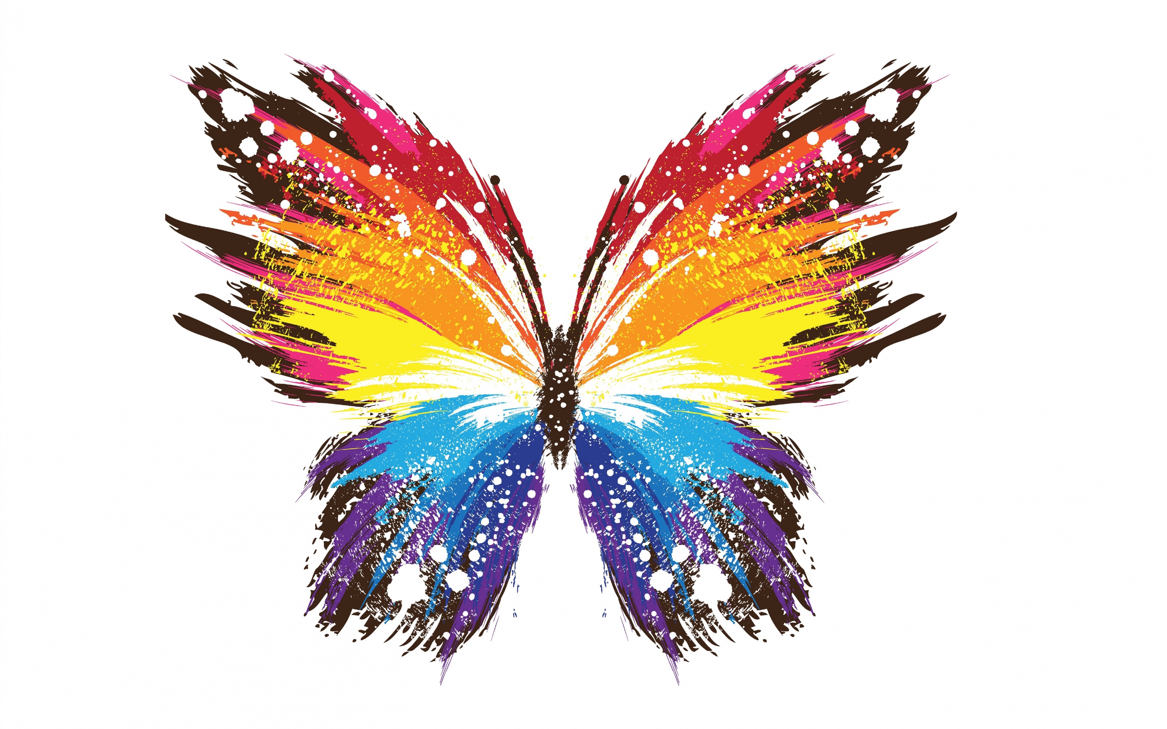 Free download wallpaper Colors, Butterfly, Colorful, Artistic on your PC desktop