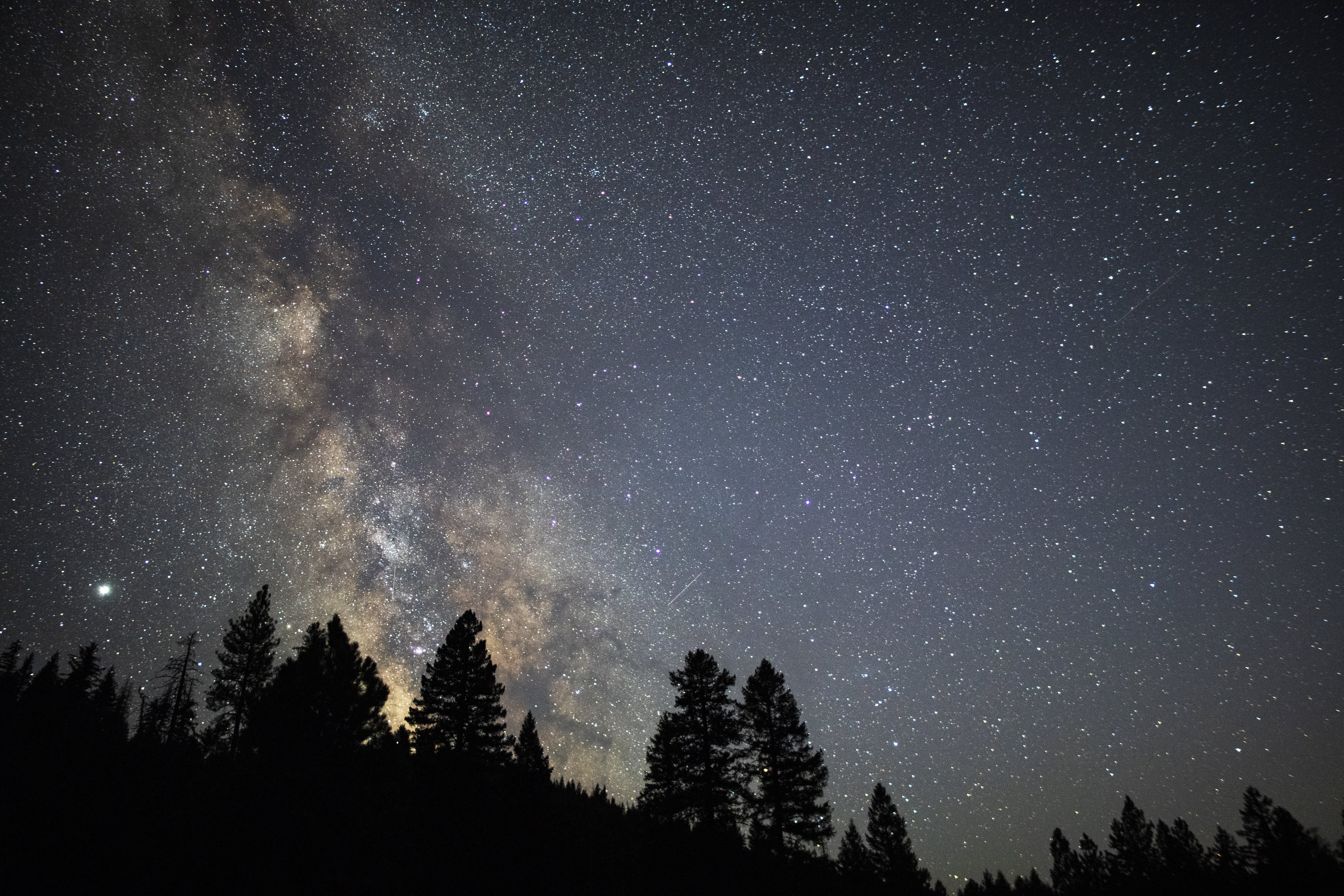 dark, trees, stars, night, starry sky, milky way 4K, Ultra HD