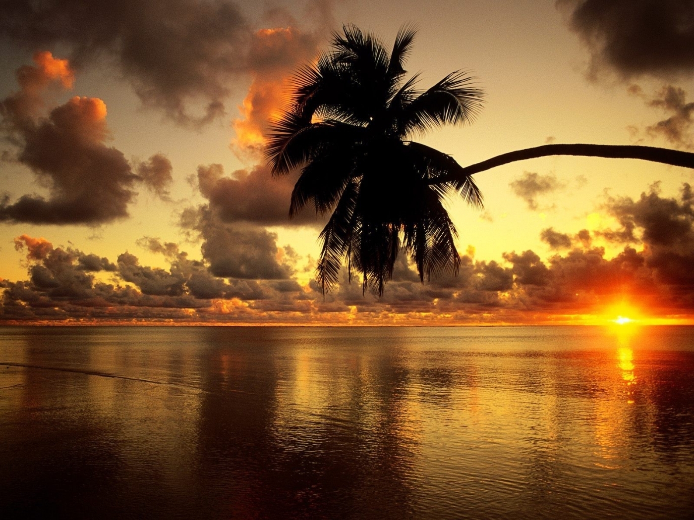 landscape, sunset, sea, palms, orange