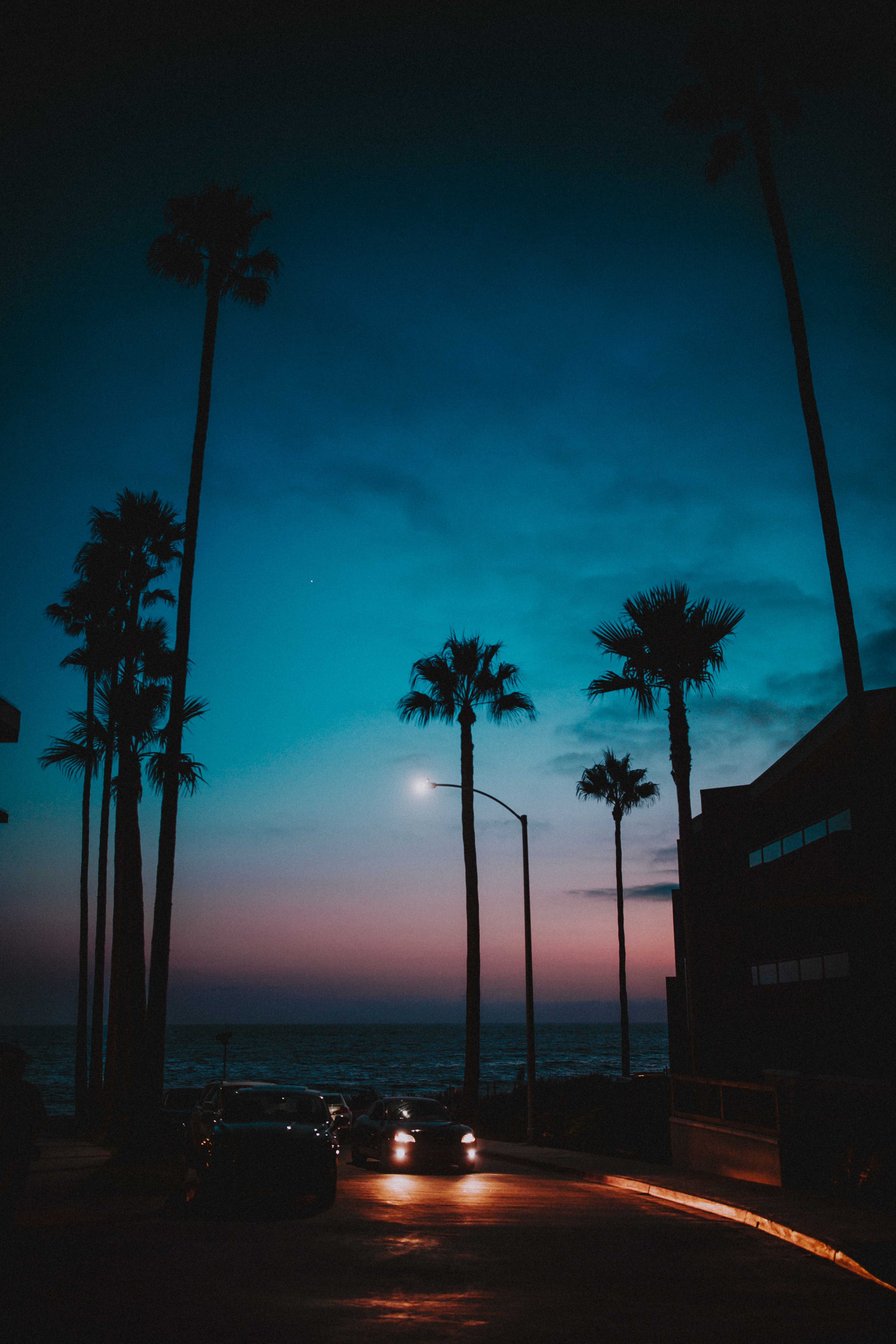 sunset, palms, night, cars, dark, tropics