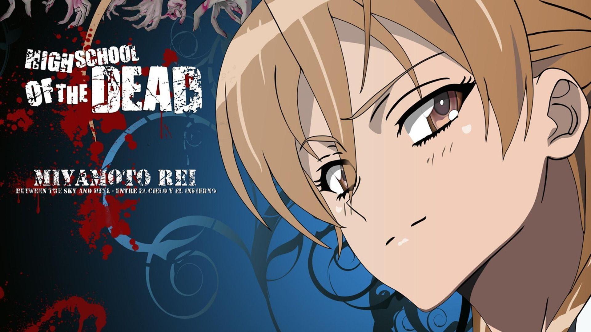 anime, highschool of the dead, rei miyamoto