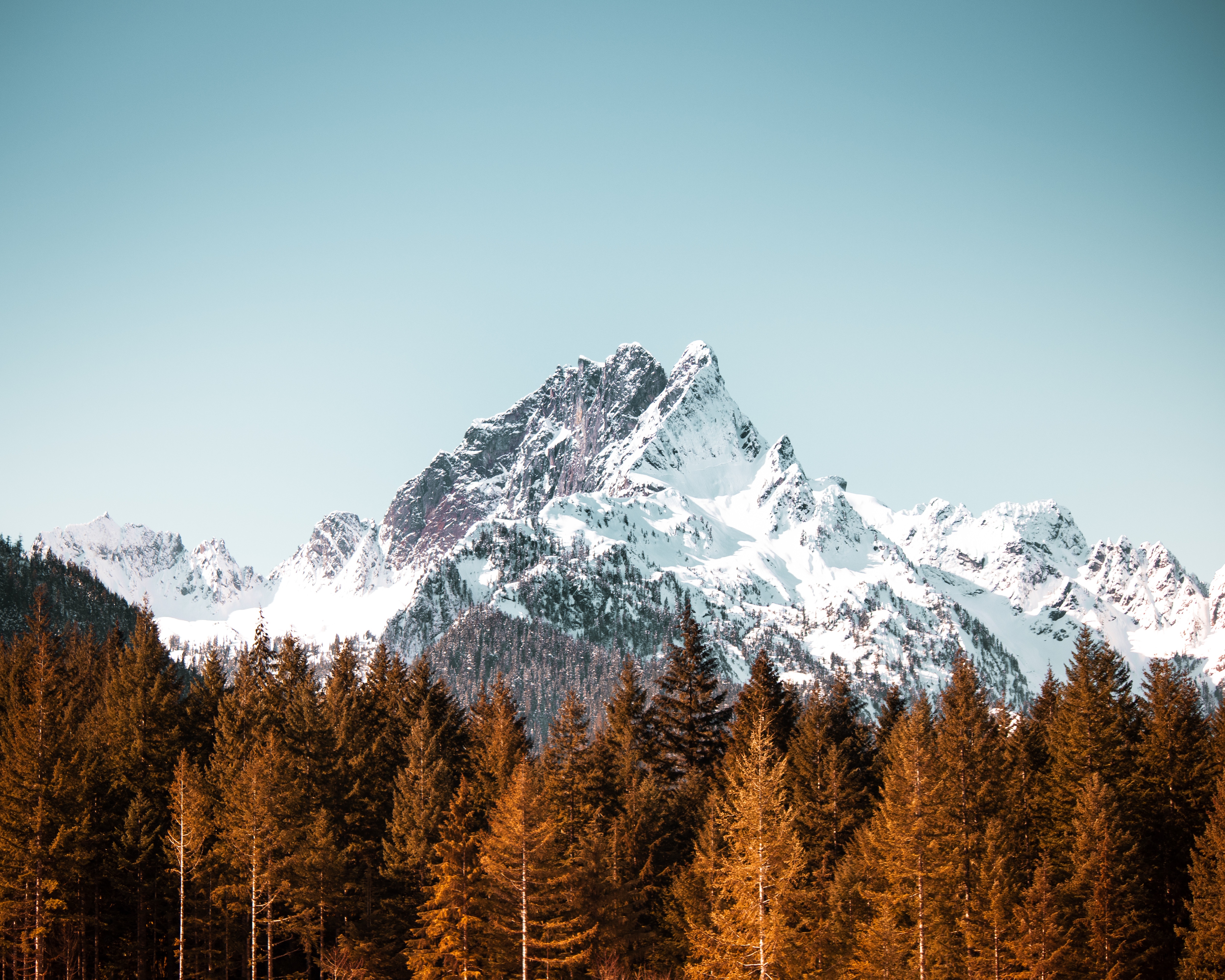 Descarga gratuita de fondo de pantalla para móvil de Montaña, Bosque, Nevado, Naturaleza, Árboles, Vértice, Arriba, Cubierto De Nieve.