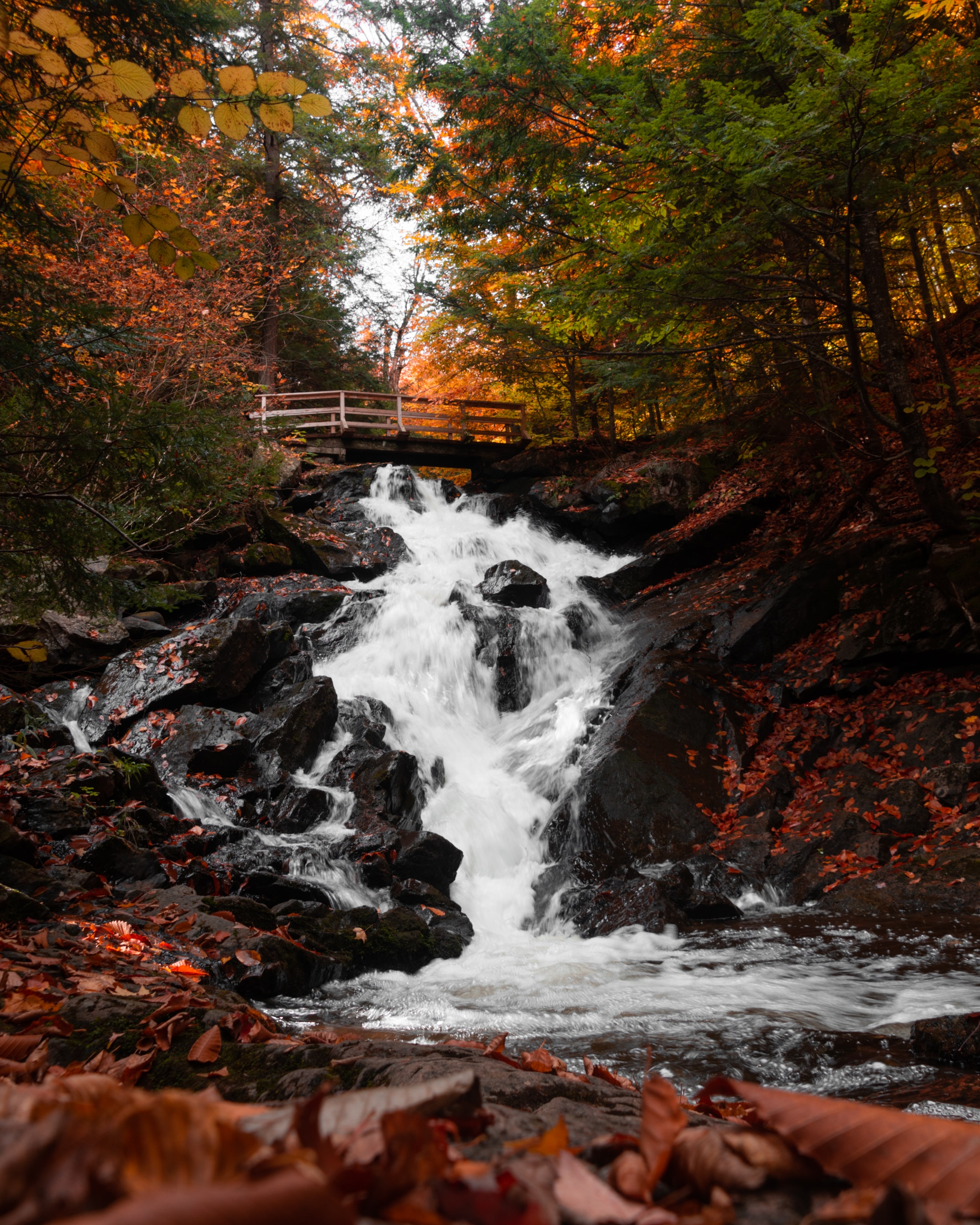 Download mobile wallpaper Bridge, Waterfall, Nature, Autumn for free.