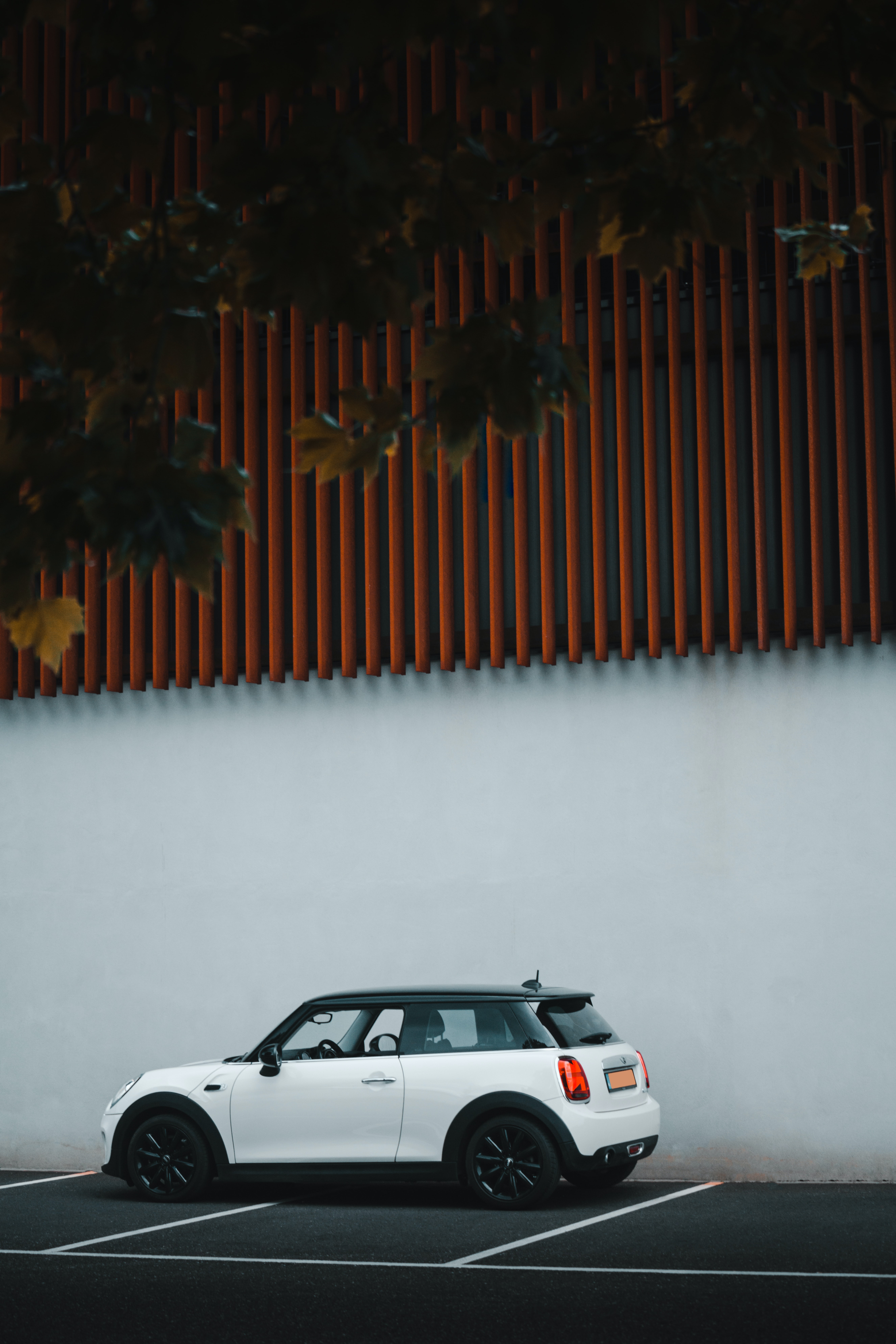 mini cooper, cars, white, car, side view, mini HD wallpaper