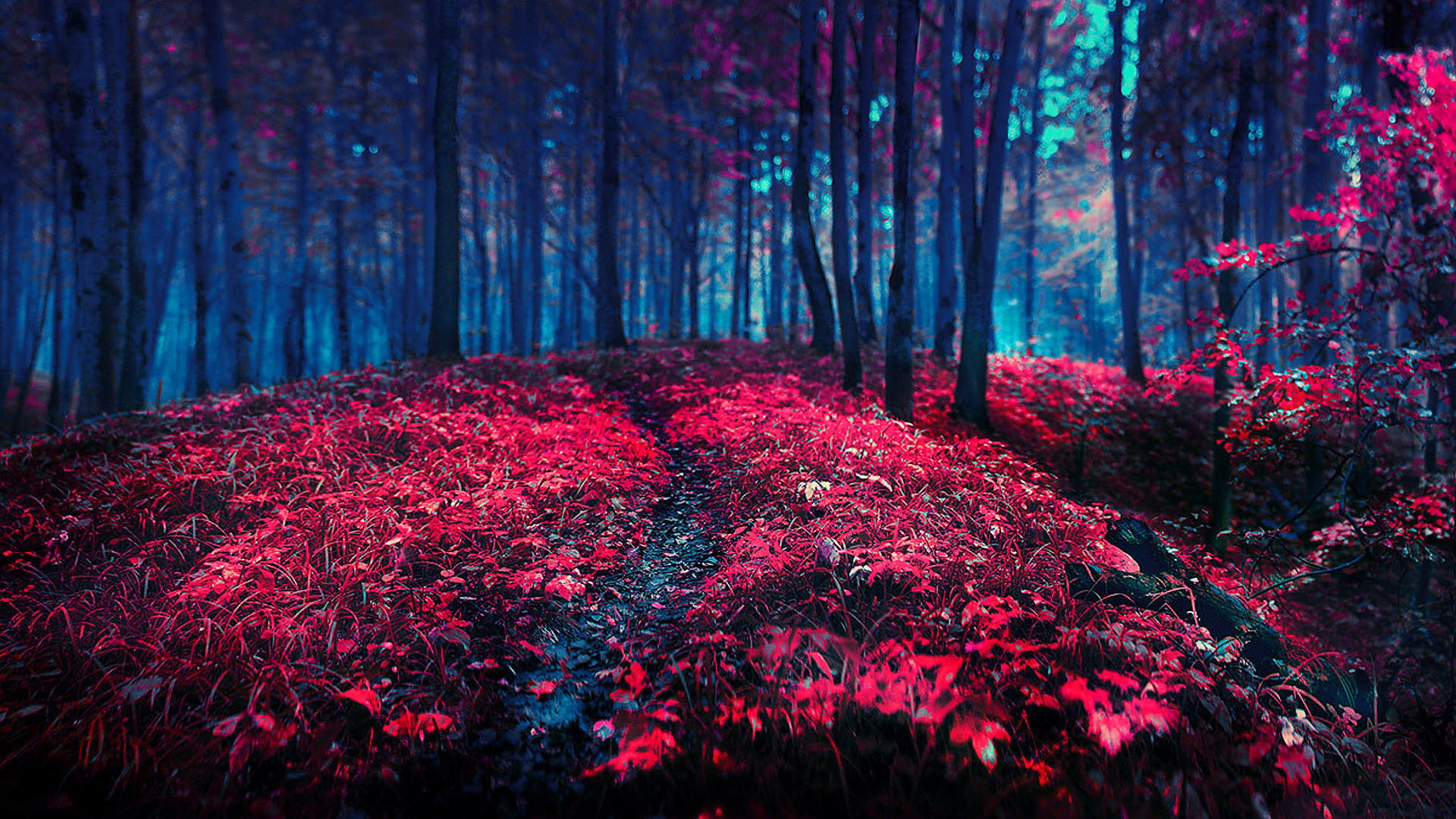 Baixe gratuitamente a imagem Cênico, Terra/natureza na área de trabalho do seu PC