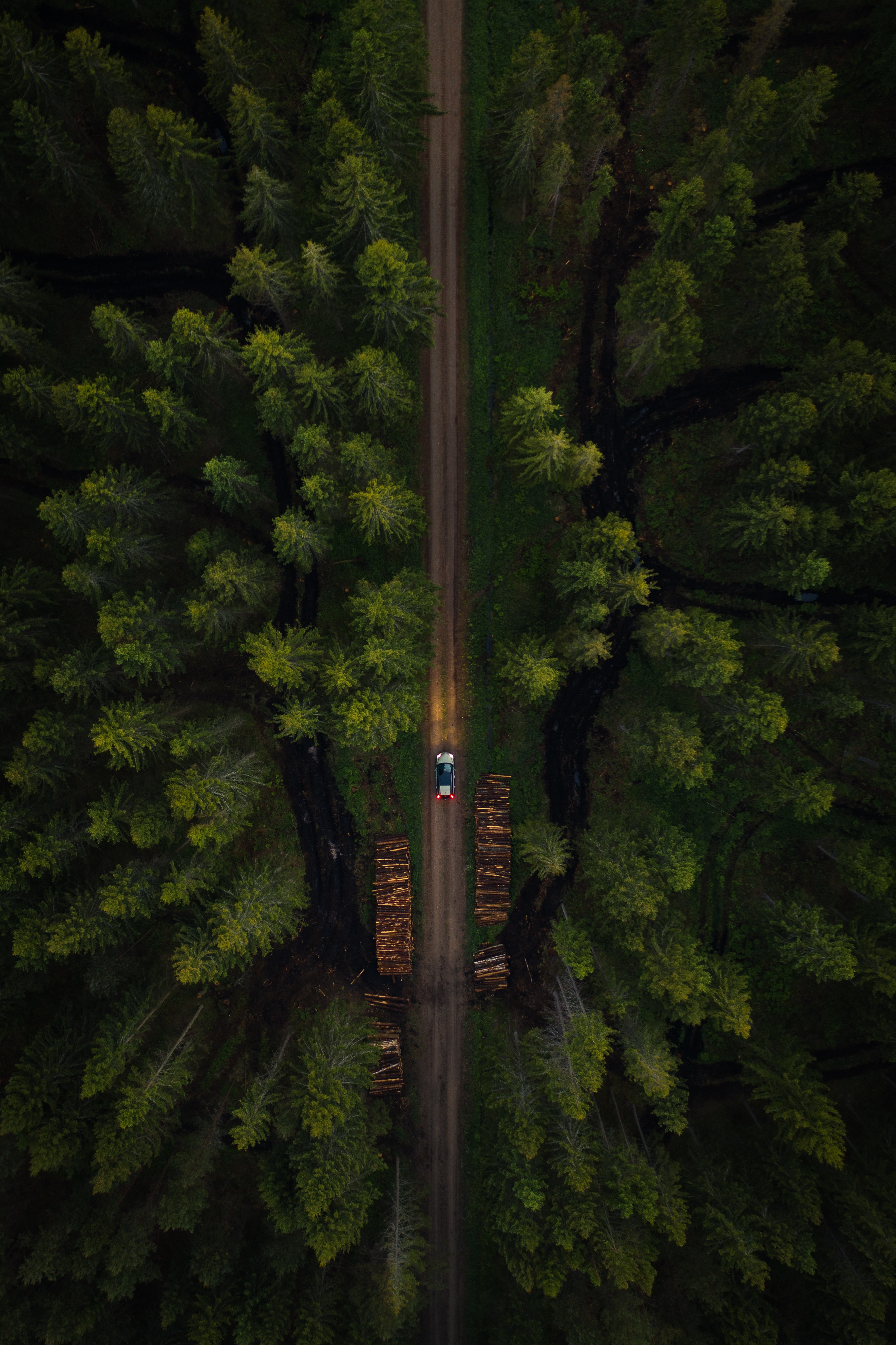 Free download wallpaper Nature, Trees, Road, Forest, Car, View From Above, Machine on your PC desktop