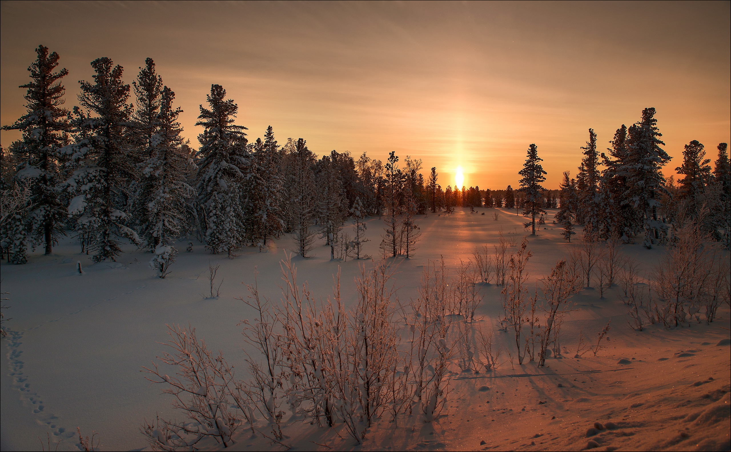 winter, nature, sunset, snow, grass 4K for PC