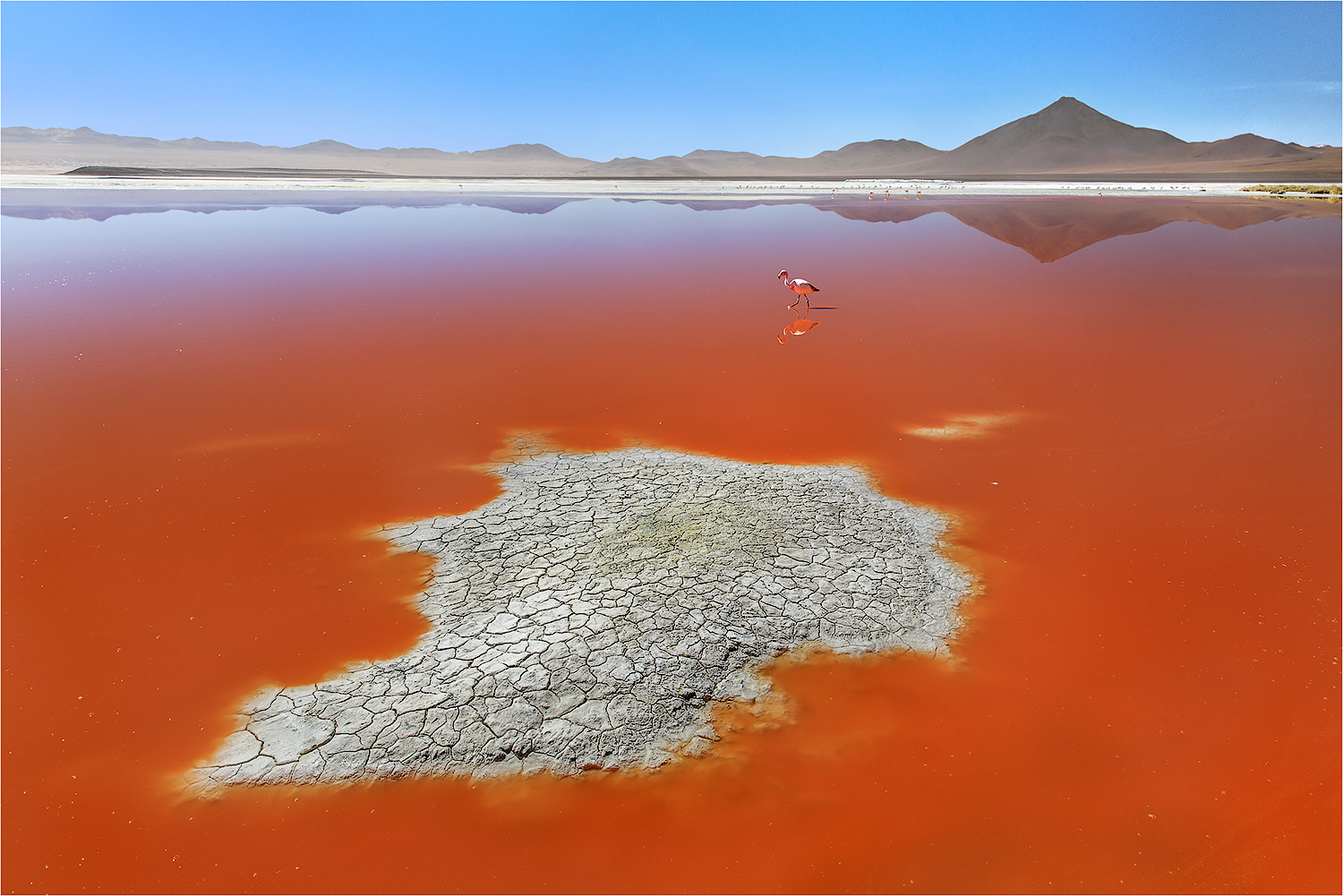 Free download wallpaper Landscape, Flamingo, Mountain, Lake, Reflection, Bird, Earth on your PC desktop