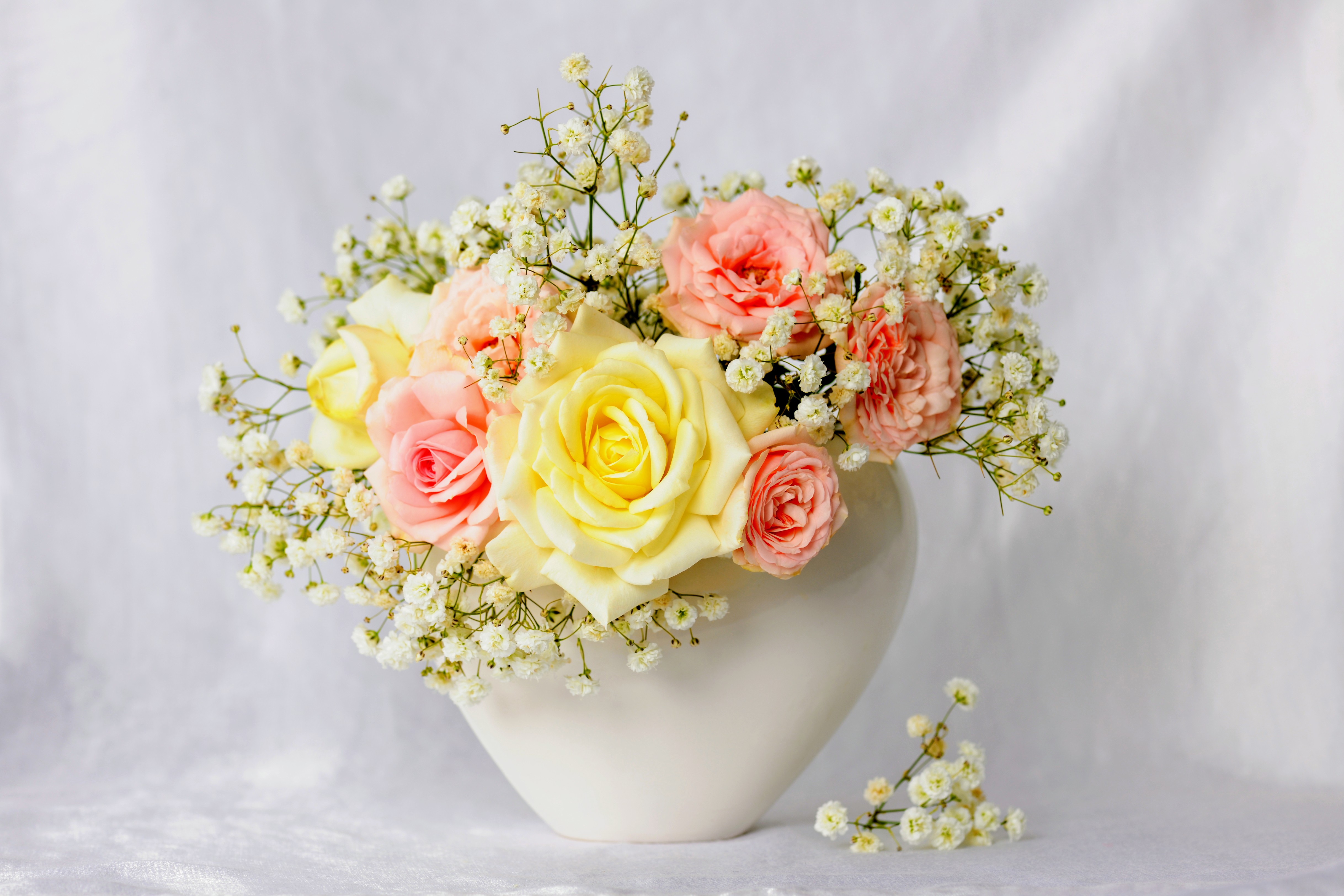 Download mobile wallpaper Flower, Rose, Vase, Man Made, Baby's Breath for free.