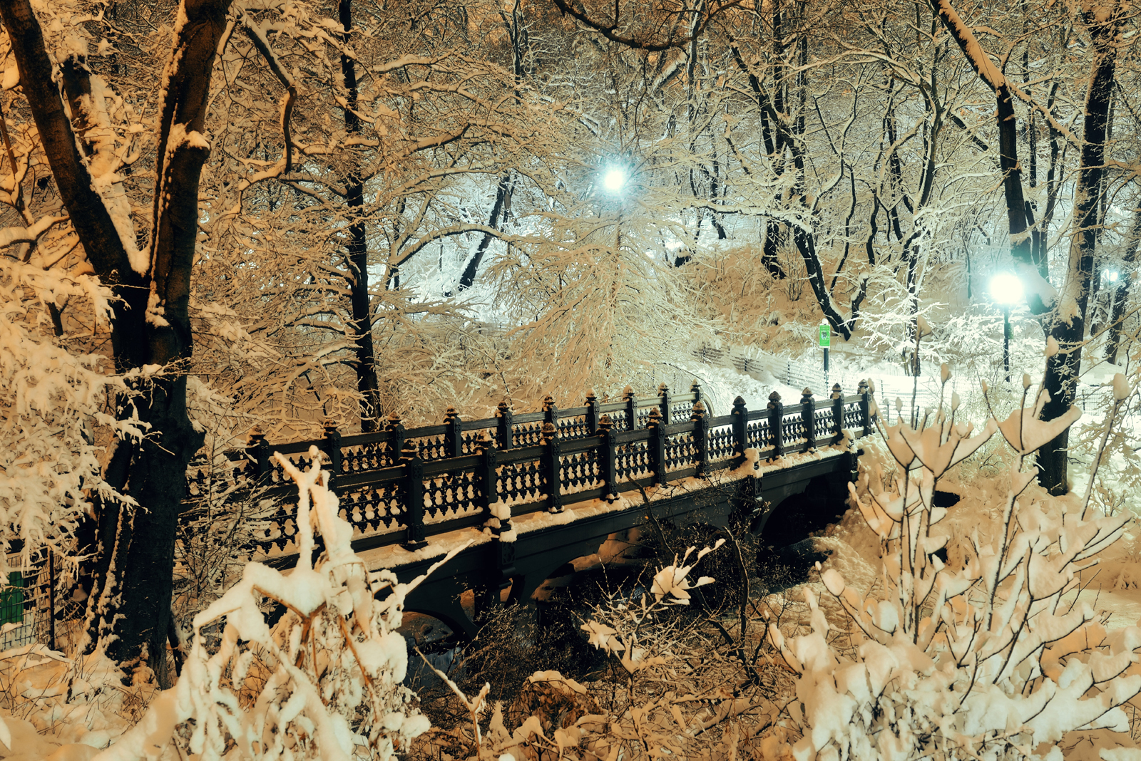 Download mobile wallpaper Winter, Snow, Light, Park, Tree, Earth, Dusk, Bridge, Photography for free.