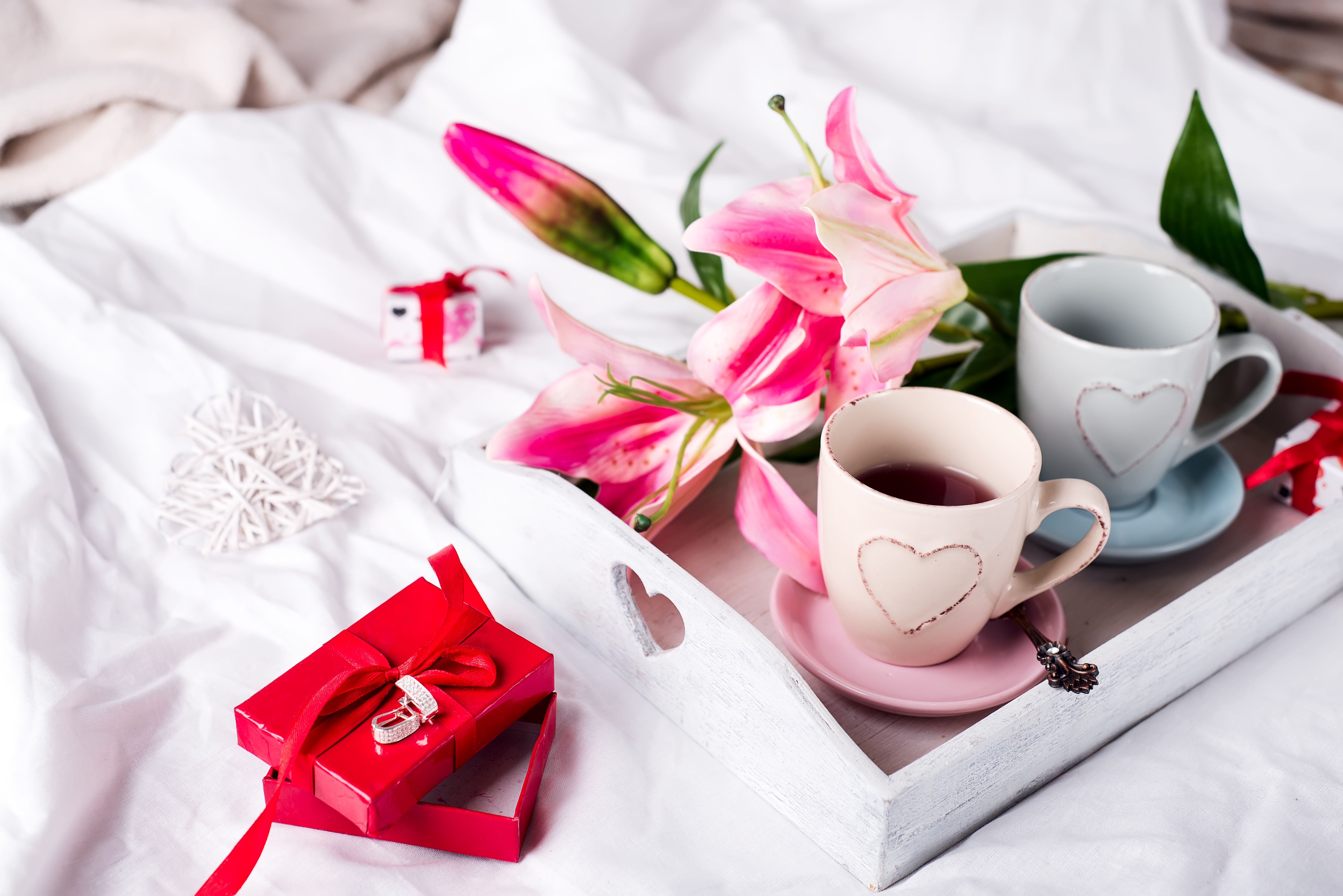 Laden Sie das Blume, Tasse, Geschenk, Orchidee, Romantisch, Nahrungsmittel, Getränk, Kaffee-Bild kostenlos auf Ihren PC-Desktop herunter