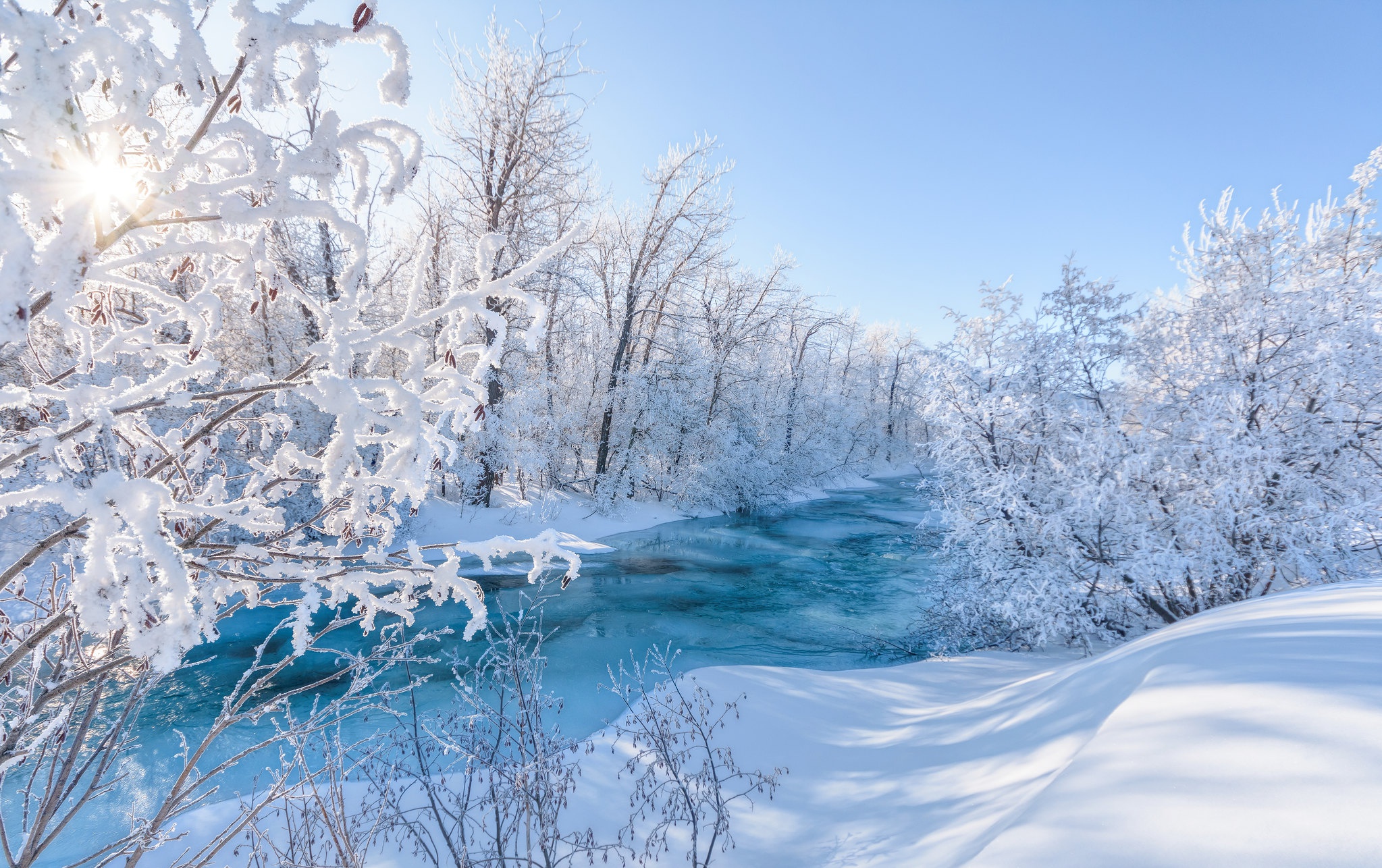 Descarga gratis la imagen Invierno, Nieve, Rio, Bosque, Escarcha, Rayo De Sol, Tierra/naturaleza en el escritorio de tu PC