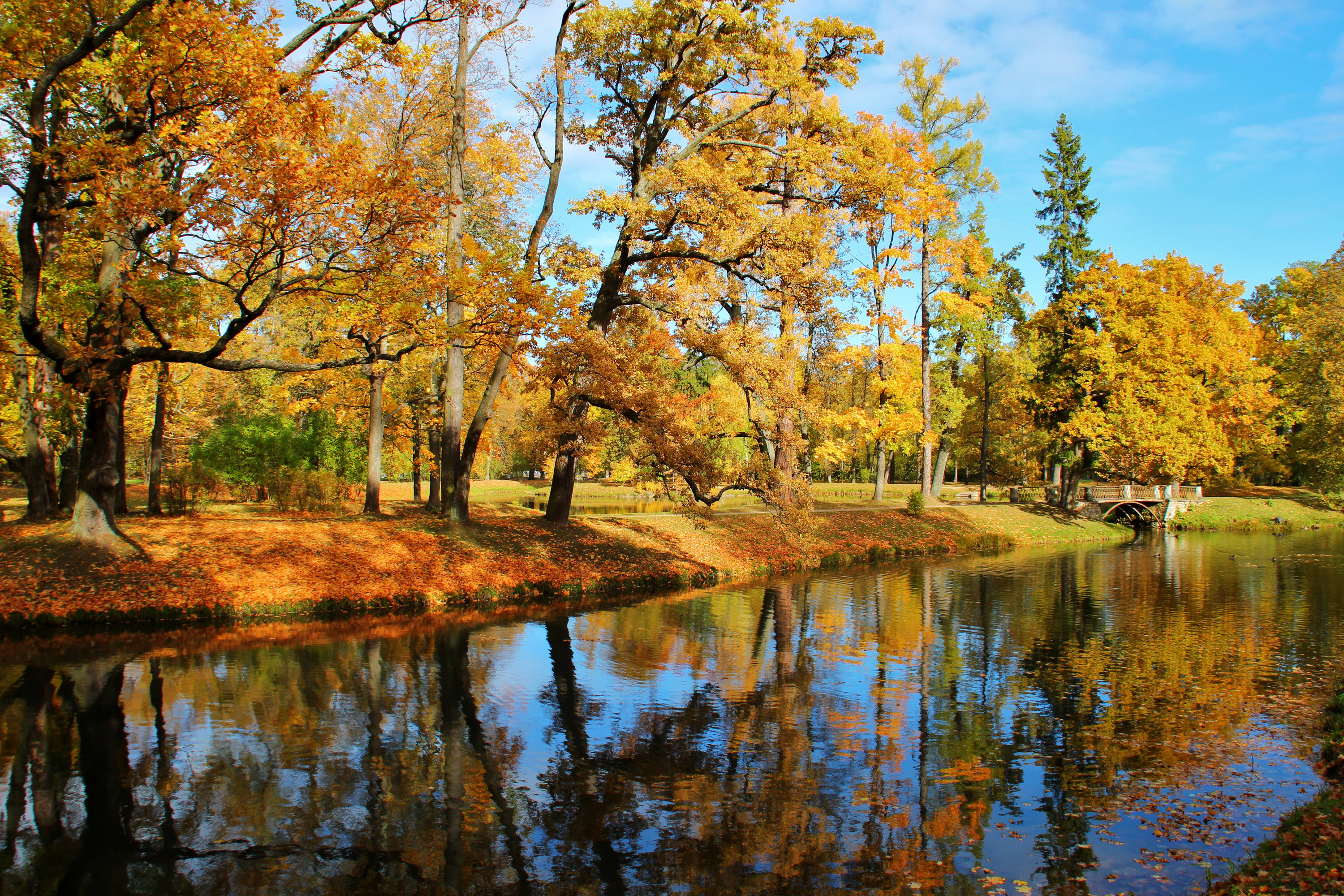 Скачать обои бесплатно Природа, Осень, Озеро, Отражение, Парк, Дерево, Фотографии картинка на рабочий стол ПК