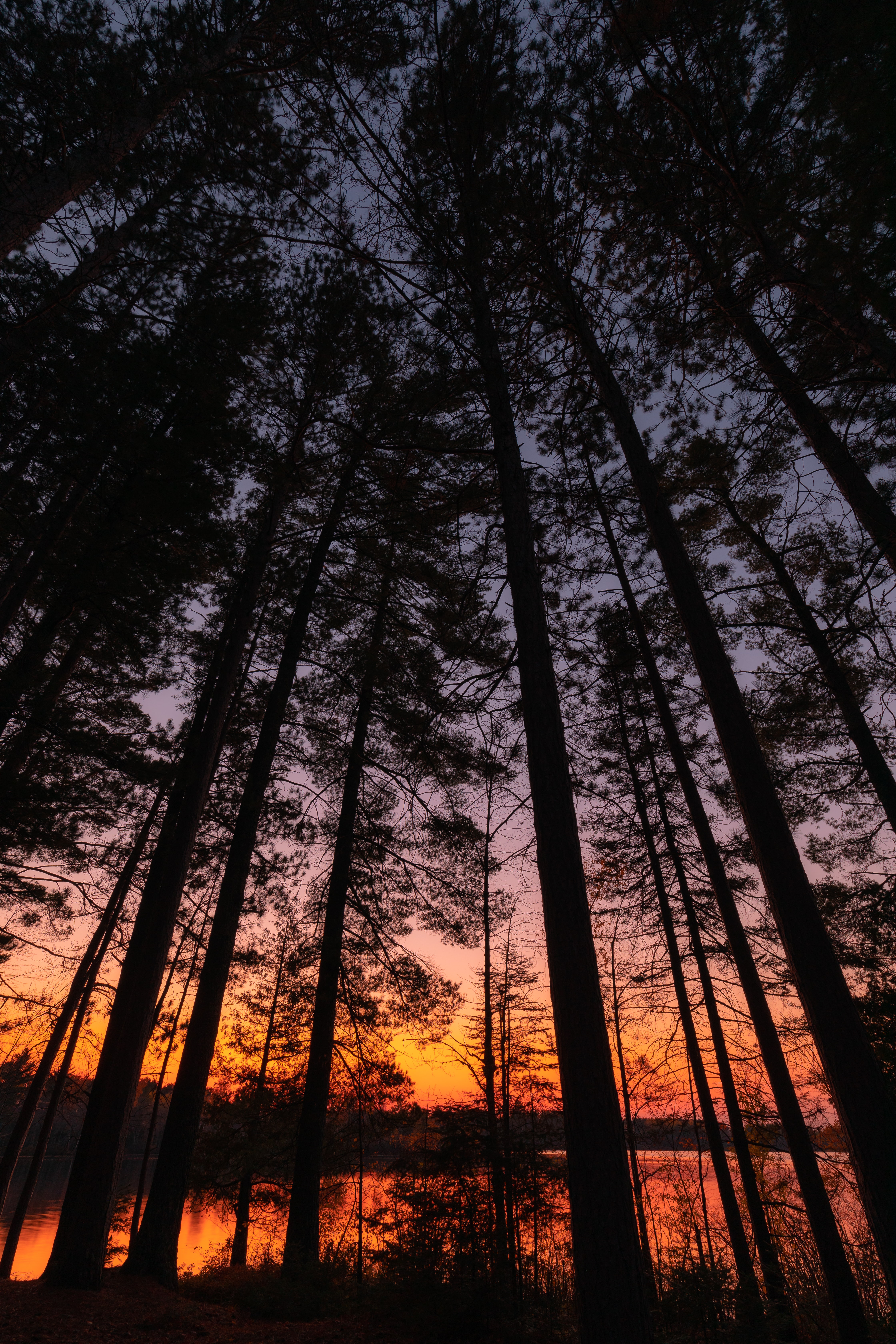 Free download wallpaper Trees, Dusk, Nature, Sunset, Twilight, Dark on your PC desktop