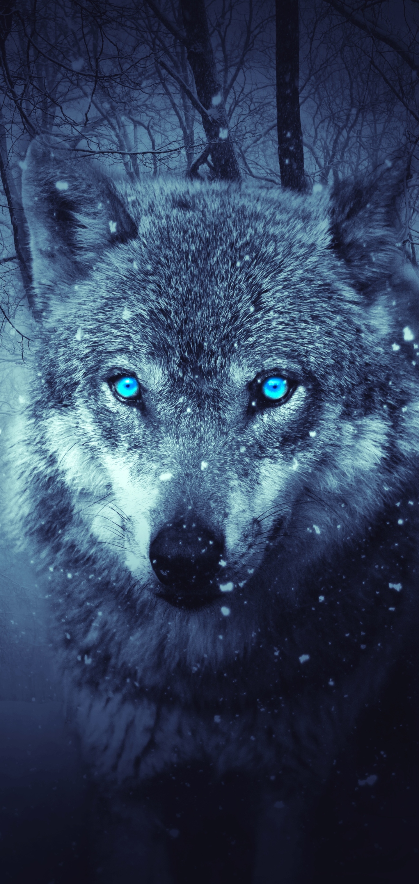 Download mobile wallpaper Fantasy, Wolf, Snowfall, Blue Eyes, Fantasy Animals for free.