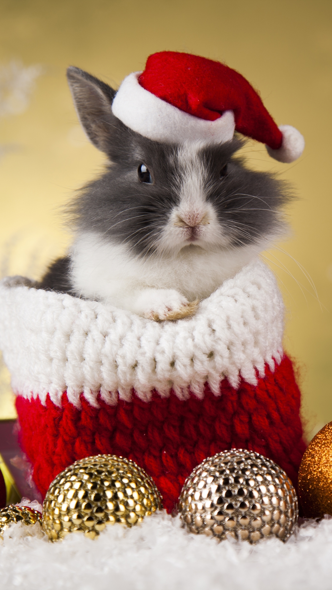 Download mobile wallpaper Christmas, Animal, Rabbit, Bauble, Santa Hat for free.