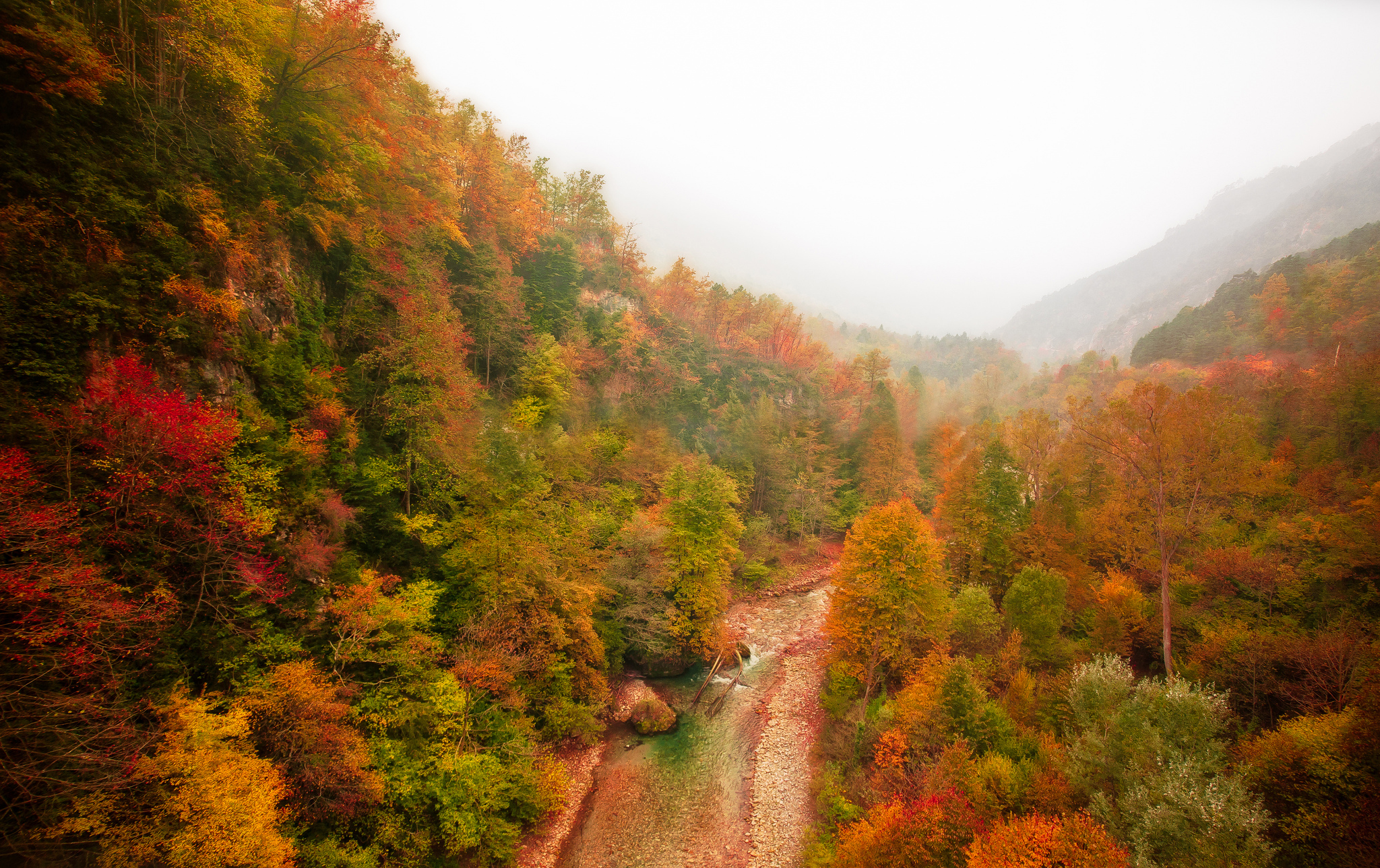 Download mobile wallpaper Forest, Fog, Fall, Earth, River for free.
