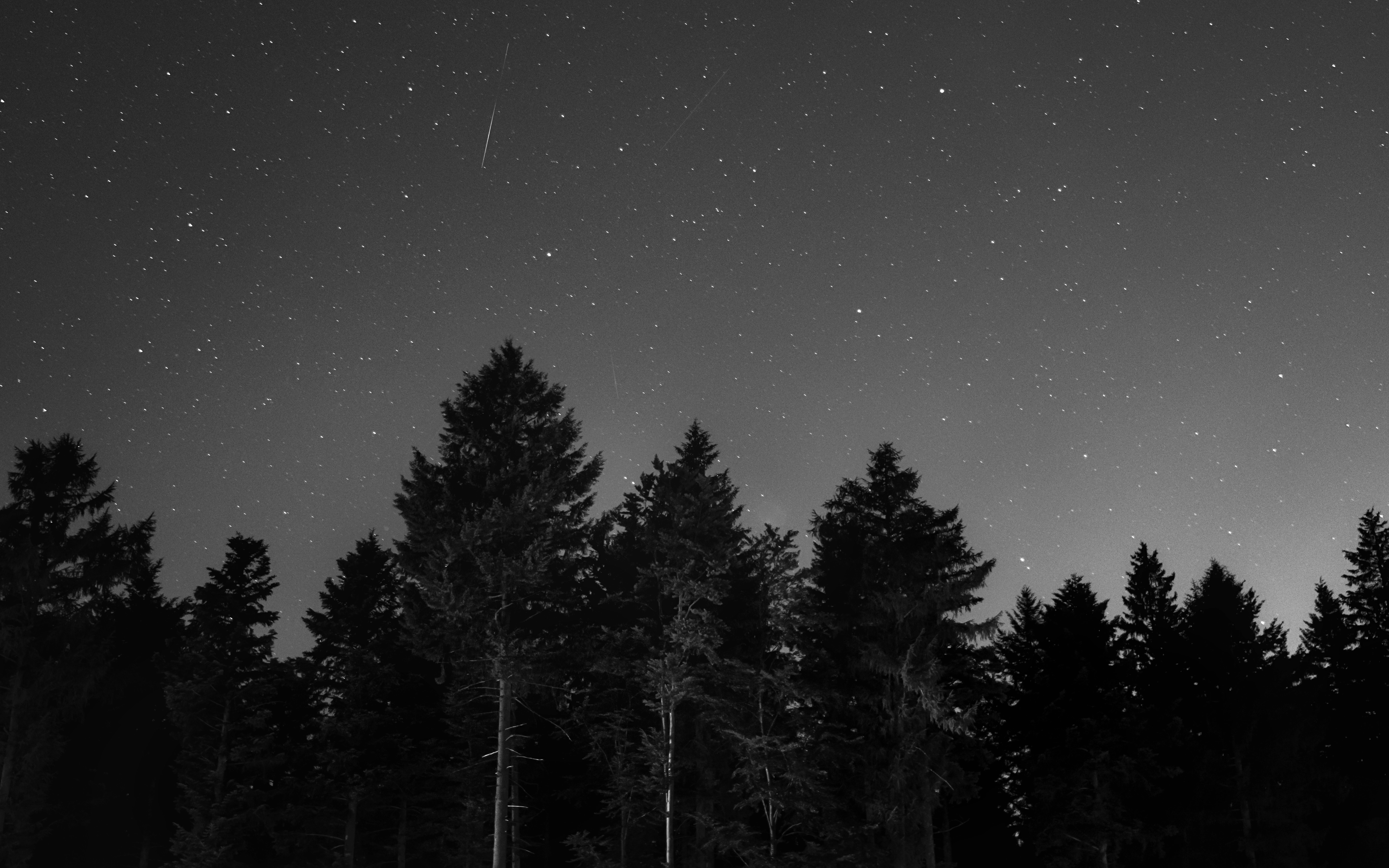 bw, night, nature, starry sky, chb HD wallpaper
