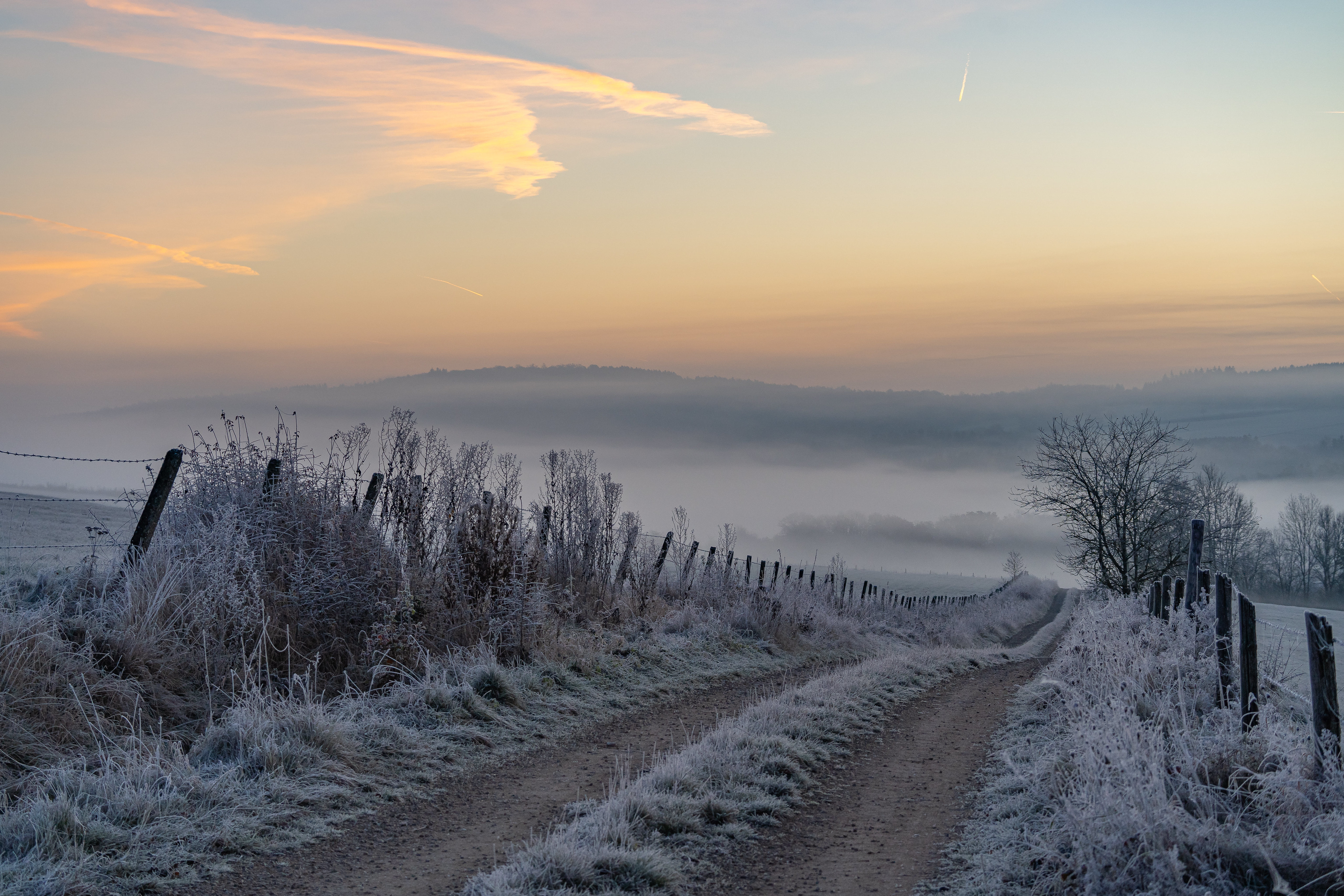 Laden Sie das Frost, Erde/natur-Bild kostenlos auf Ihren PC-Desktop herunter