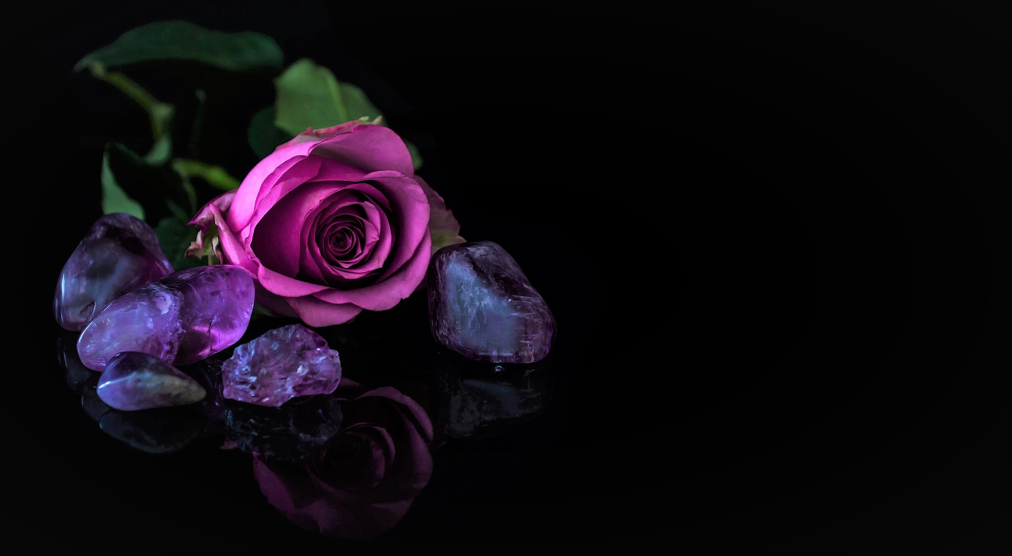 Download mobile wallpaper Still Life, Reflection, Rose, Stone, Photography, Purple Rose for free.