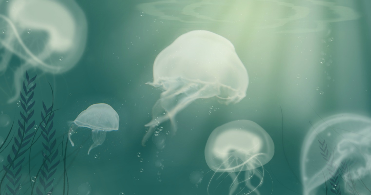 203054 завантажити картинку тварина, медузи, риби - шпалери і заставки безкоштовно