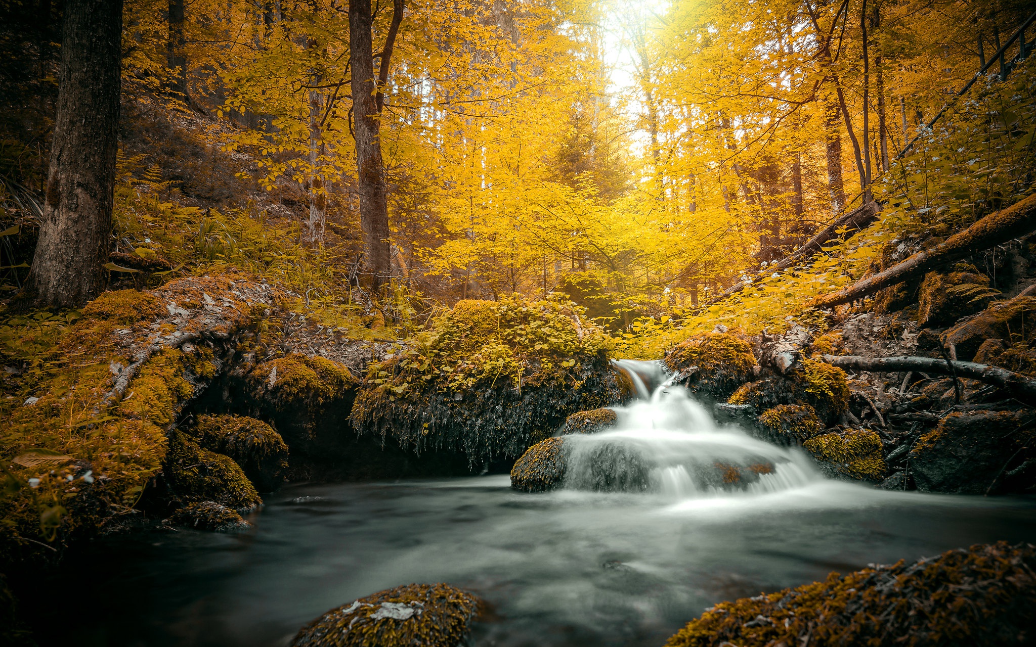 Descarga gratis la imagen Naturaleza, Otoño, Chorro, Tierra/naturaleza en el escritorio de tu PC