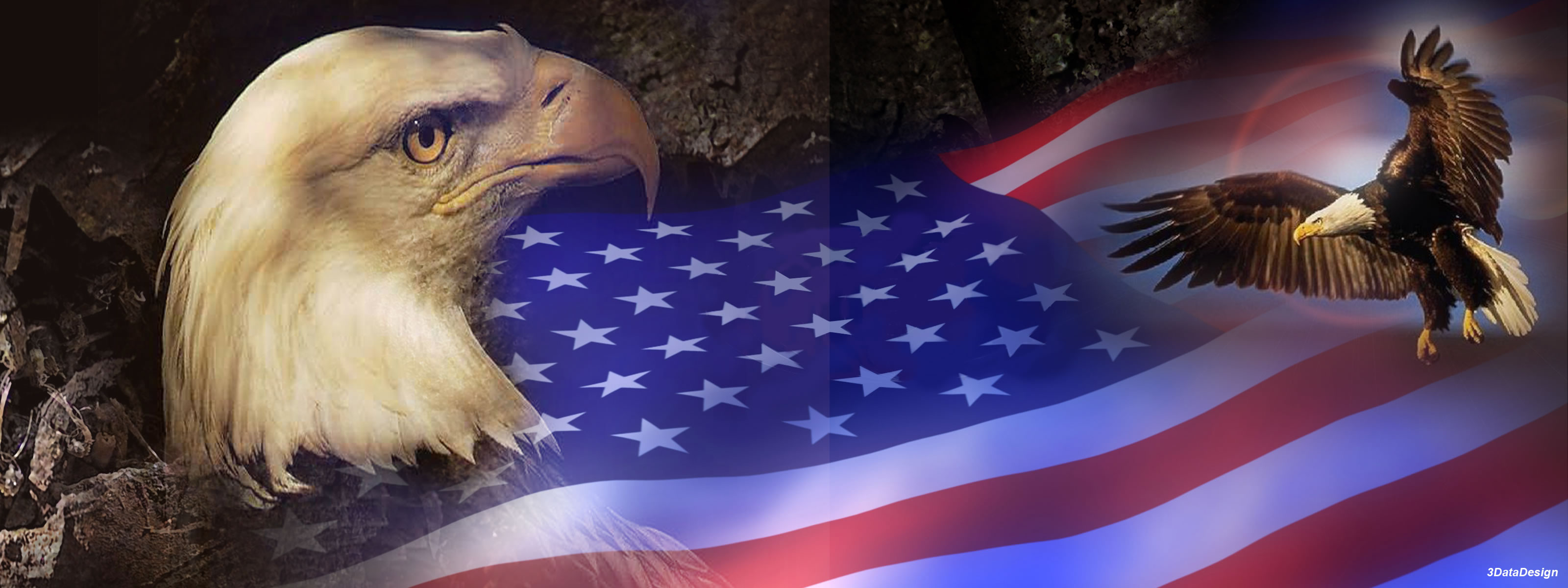 165029 скачать обои орел, американский флаг, флаги, сделано человеком, птицы - заставки и картинки бесплатно