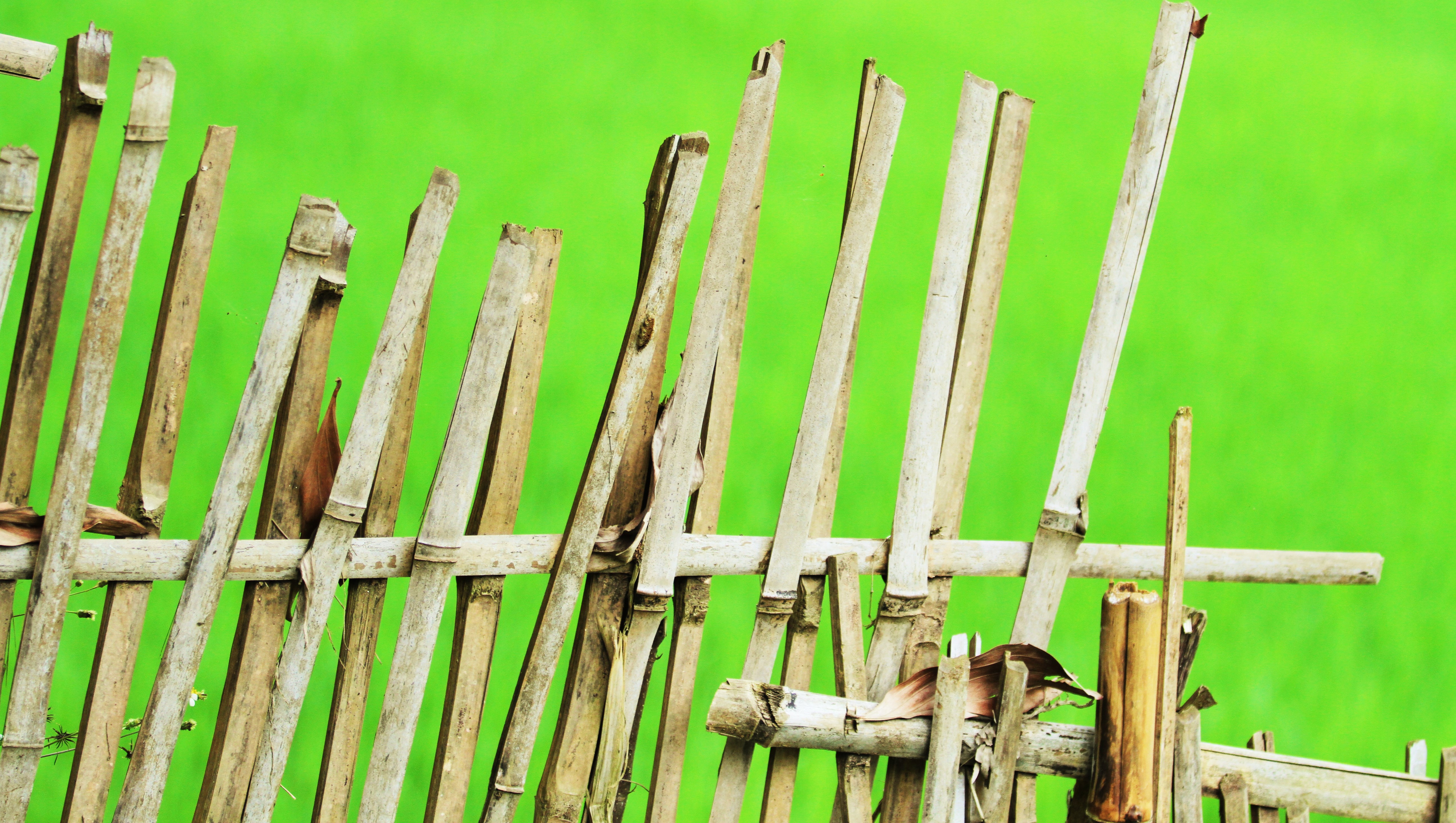 Download mobile wallpaper Blur, Fence, Bamboo, Man Made for free.