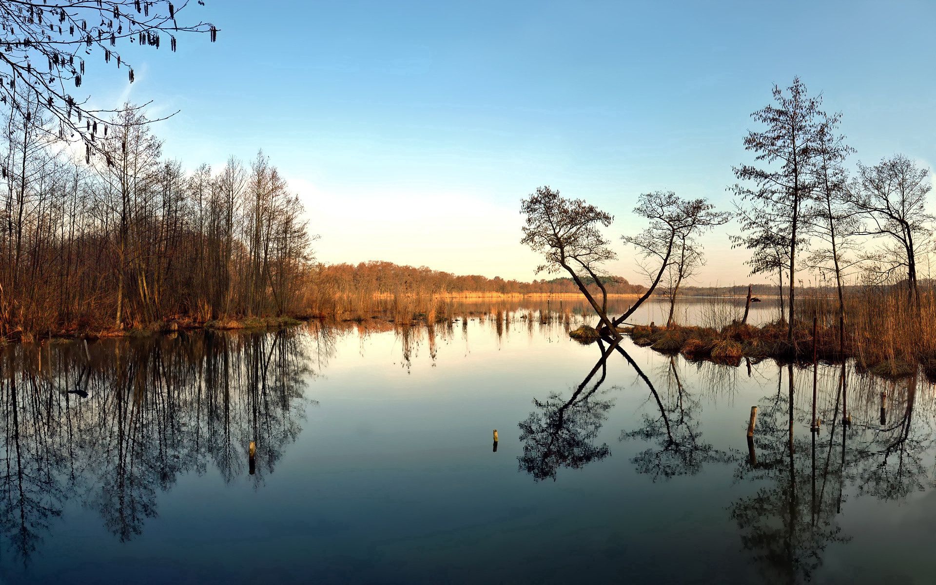 Laden Sie das Reflexion, Natur, Bäume, See, Sky, Herbst-Bild kostenlos auf Ihren PC-Desktop herunter