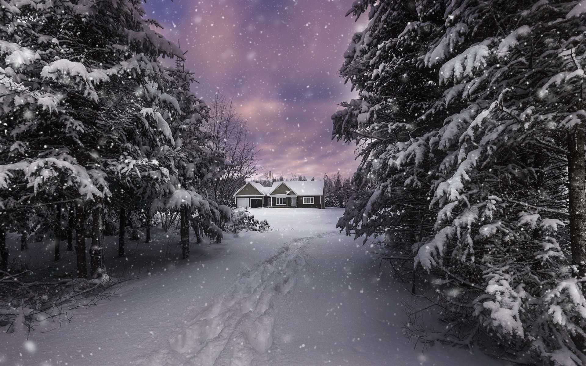 Download mobile wallpaper Winter, Snow, Tree, House, Earth, Path, Snowflake, Photography for free.