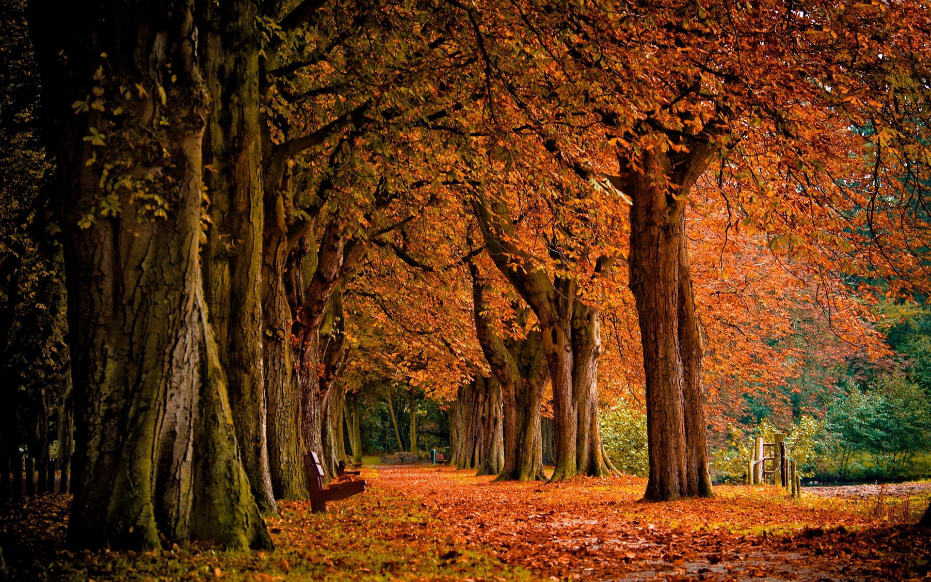 Free download wallpaper Fall, Photography on your PC desktop