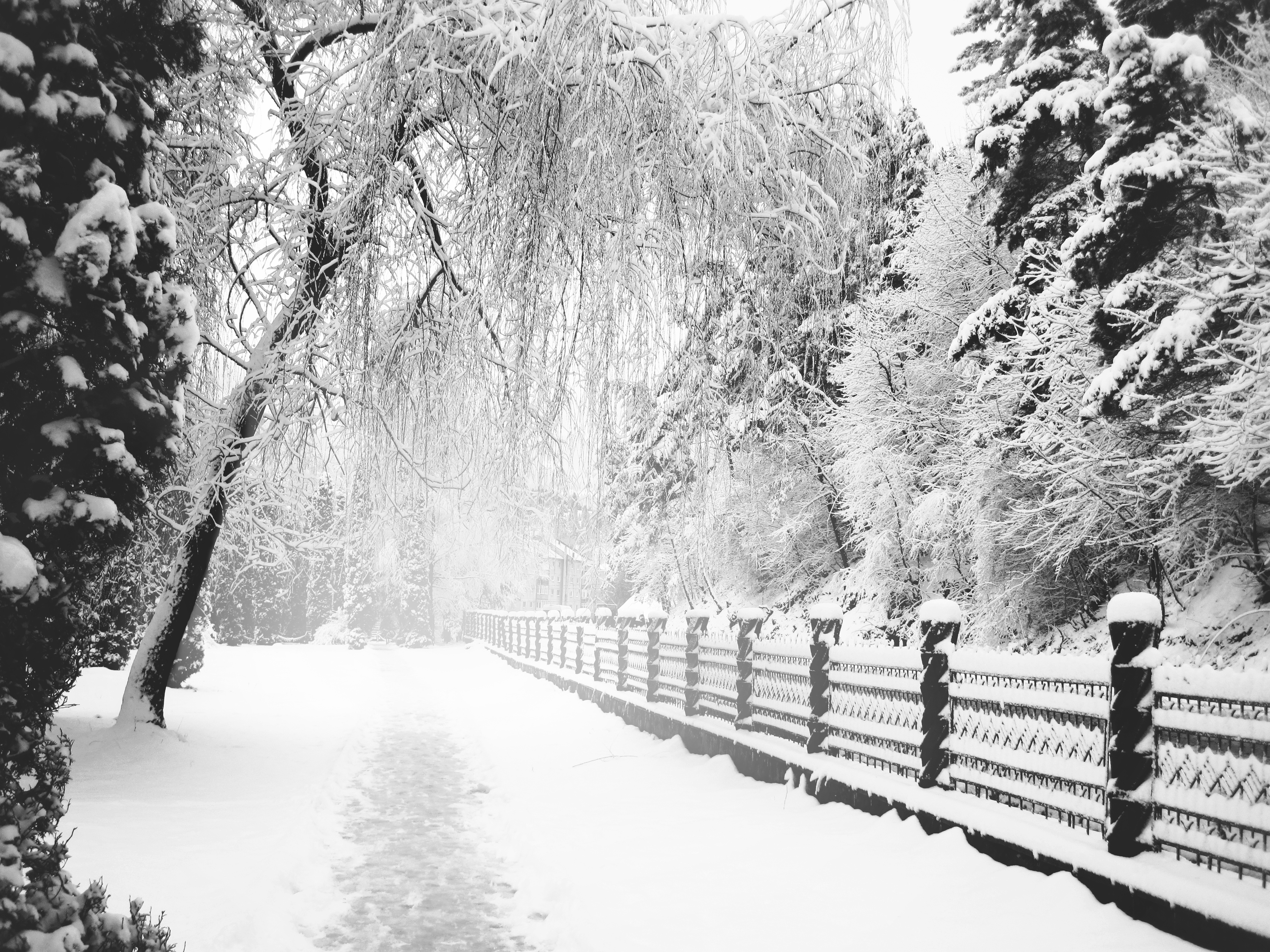 Скачать картинку Зима, Снег, Дорога, Дерево, Белый, Ограда, Фотографии в телефон бесплатно.