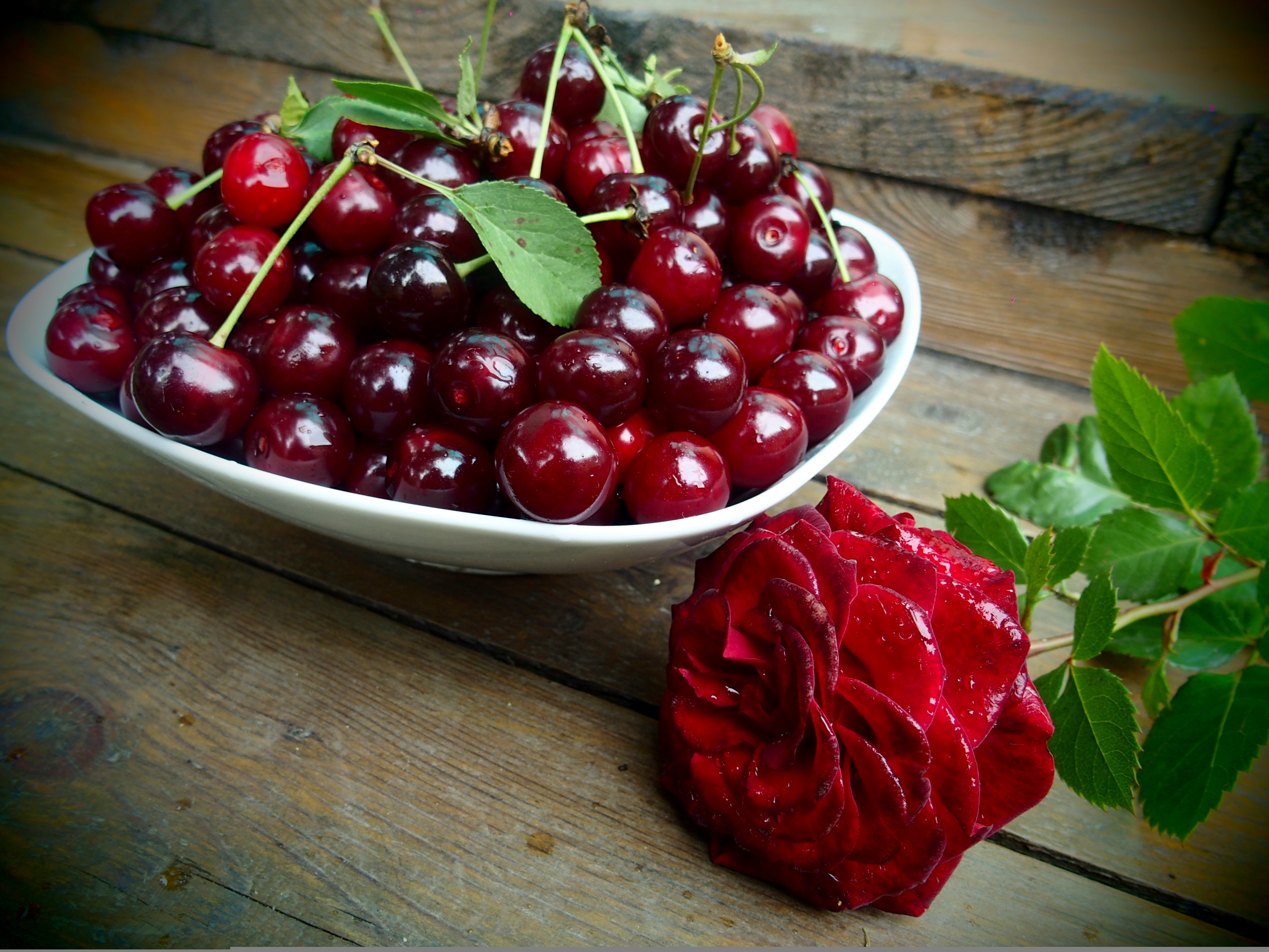 Download mobile wallpaper Fruits, Food, Cherry, Rose, Fruit, Red Flower for free.
