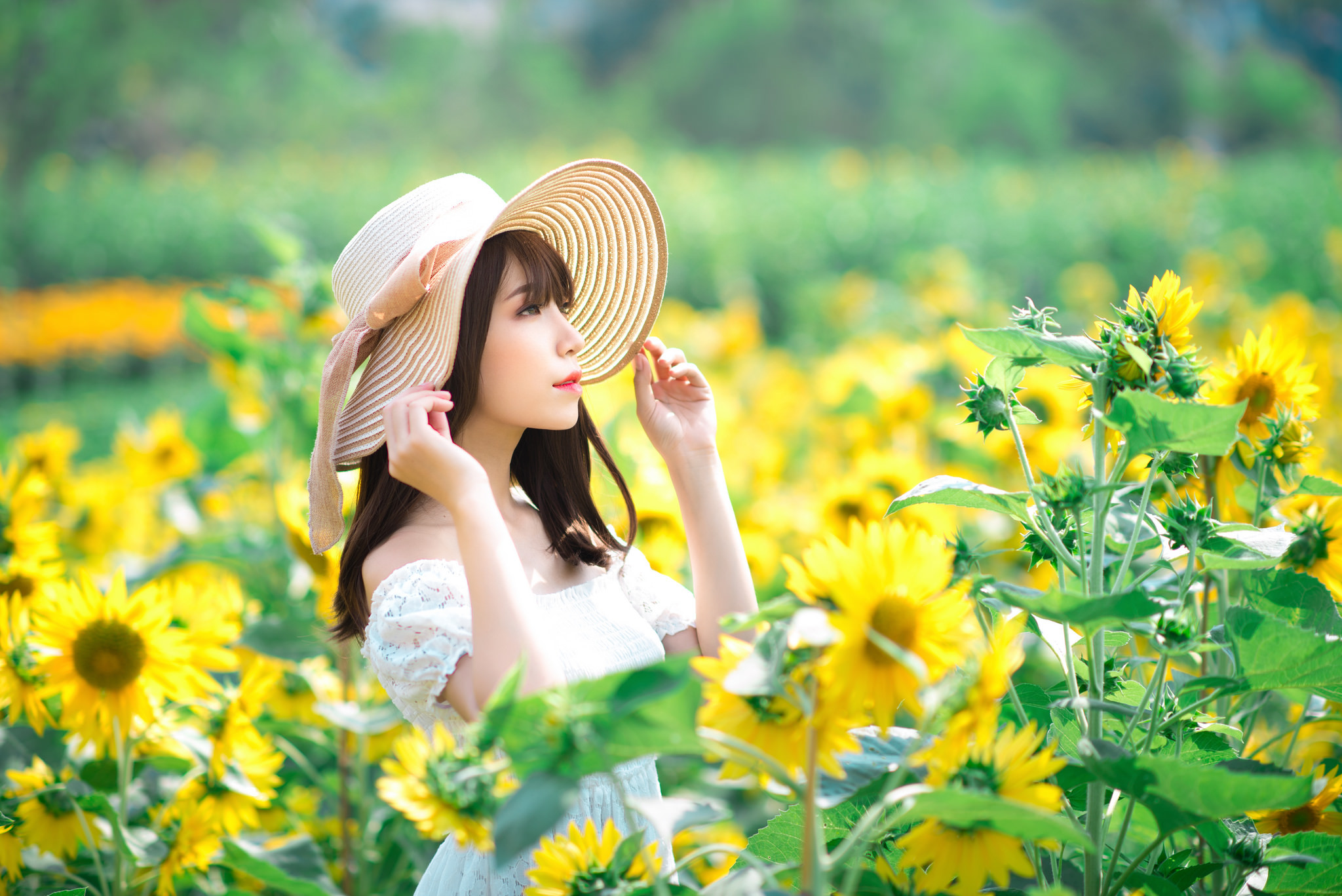 Download mobile wallpaper Summer, Flower, Sunflower, Hat, Brunette, Model, Women, Yellow Flower, Asian, Depth Of Field, White Dress for free.