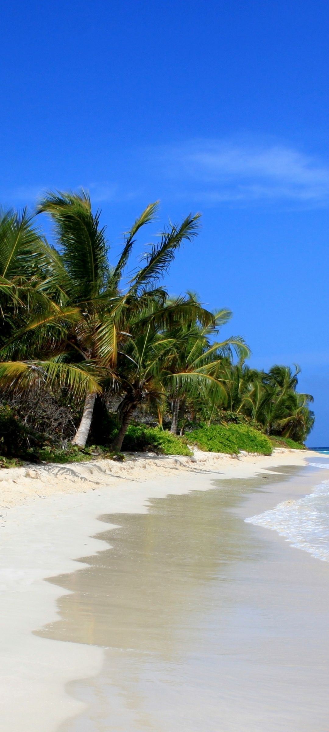 Скачать картинку Природа, Пляж, Тропический, Пуэрто Рико, Земля/природа, Пляж Фламенко в телефон бесплатно.