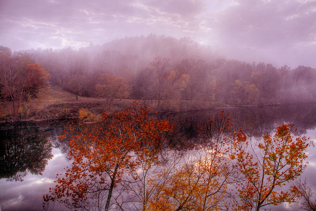 Laden Sie das Nebel, Erde/natur-Bild kostenlos auf Ihren PC-Desktop herunter