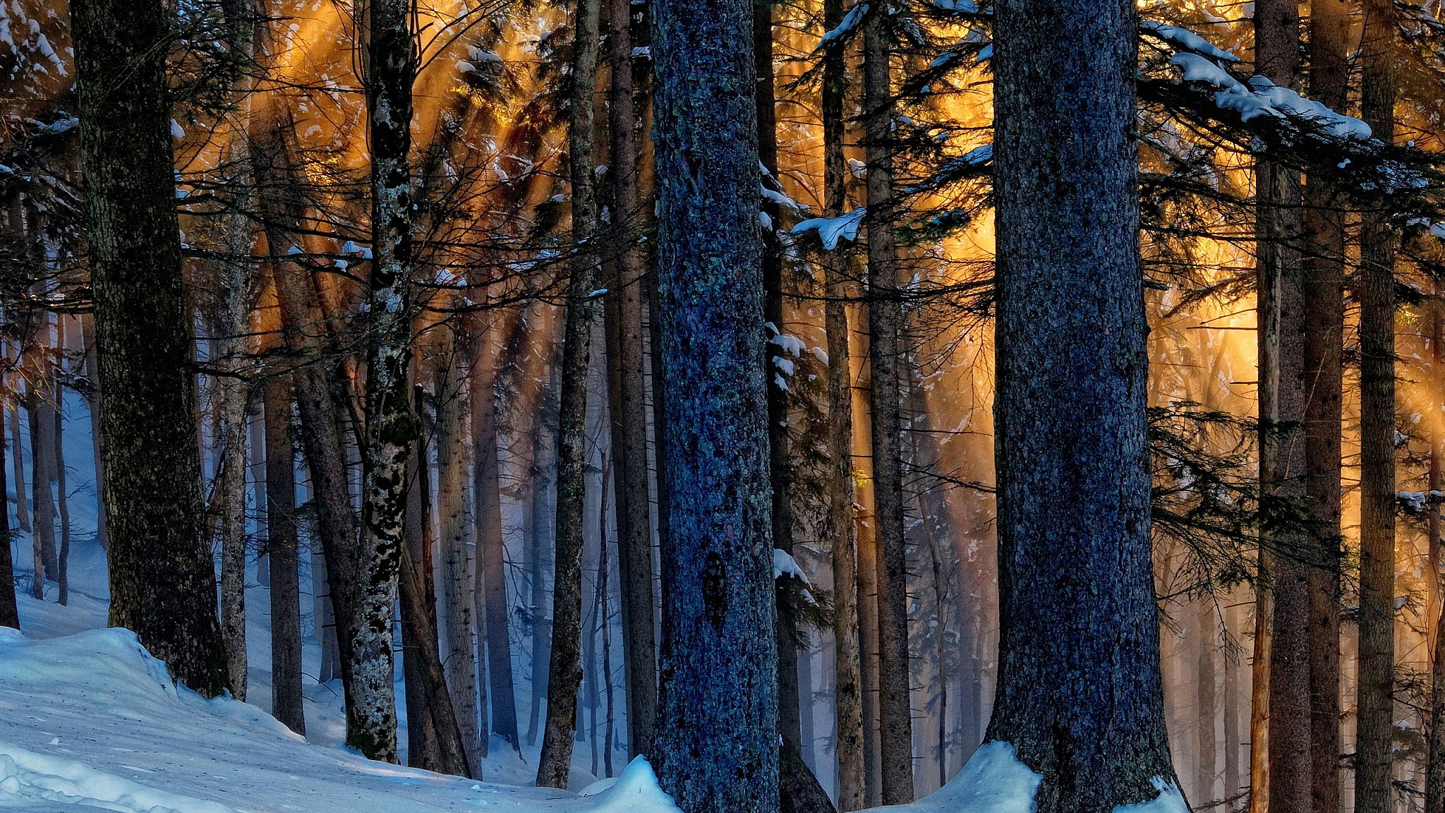 Descarga gratuita de fondo de pantalla para móvil de Rayo De Sol, Tierra/naturaleza.