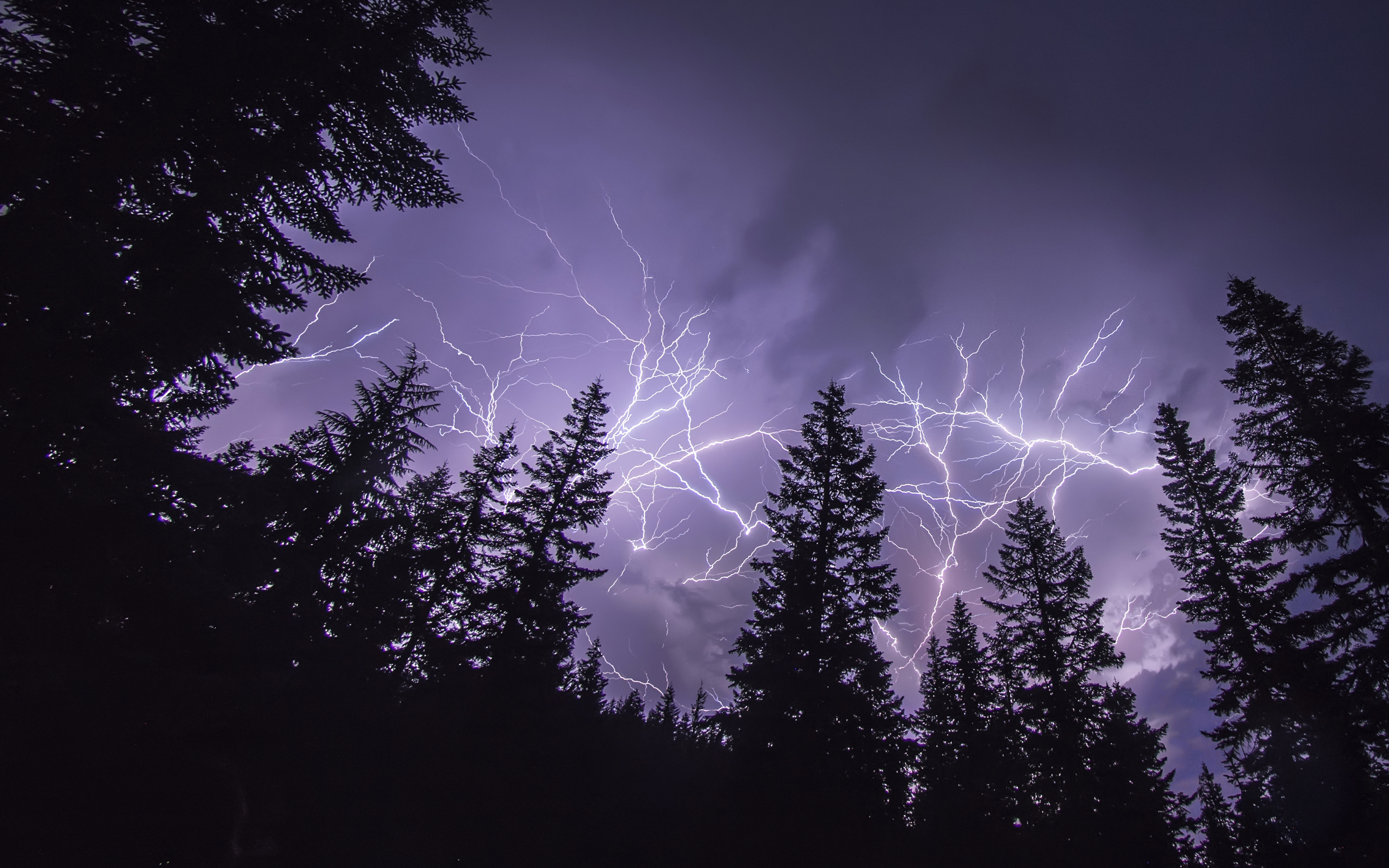Free download wallpaper Sky, Lightning, Silhouette, Tree, Photography on your PC desktop