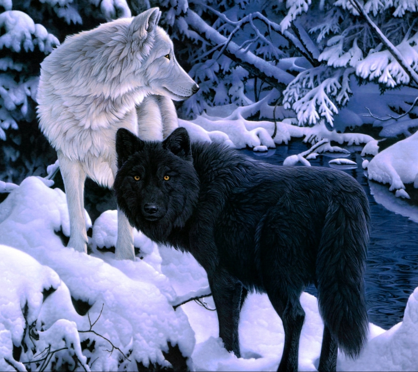 Handy-Wallpaper Tiere, Wolf, Wolves kostenlos herunterladen.