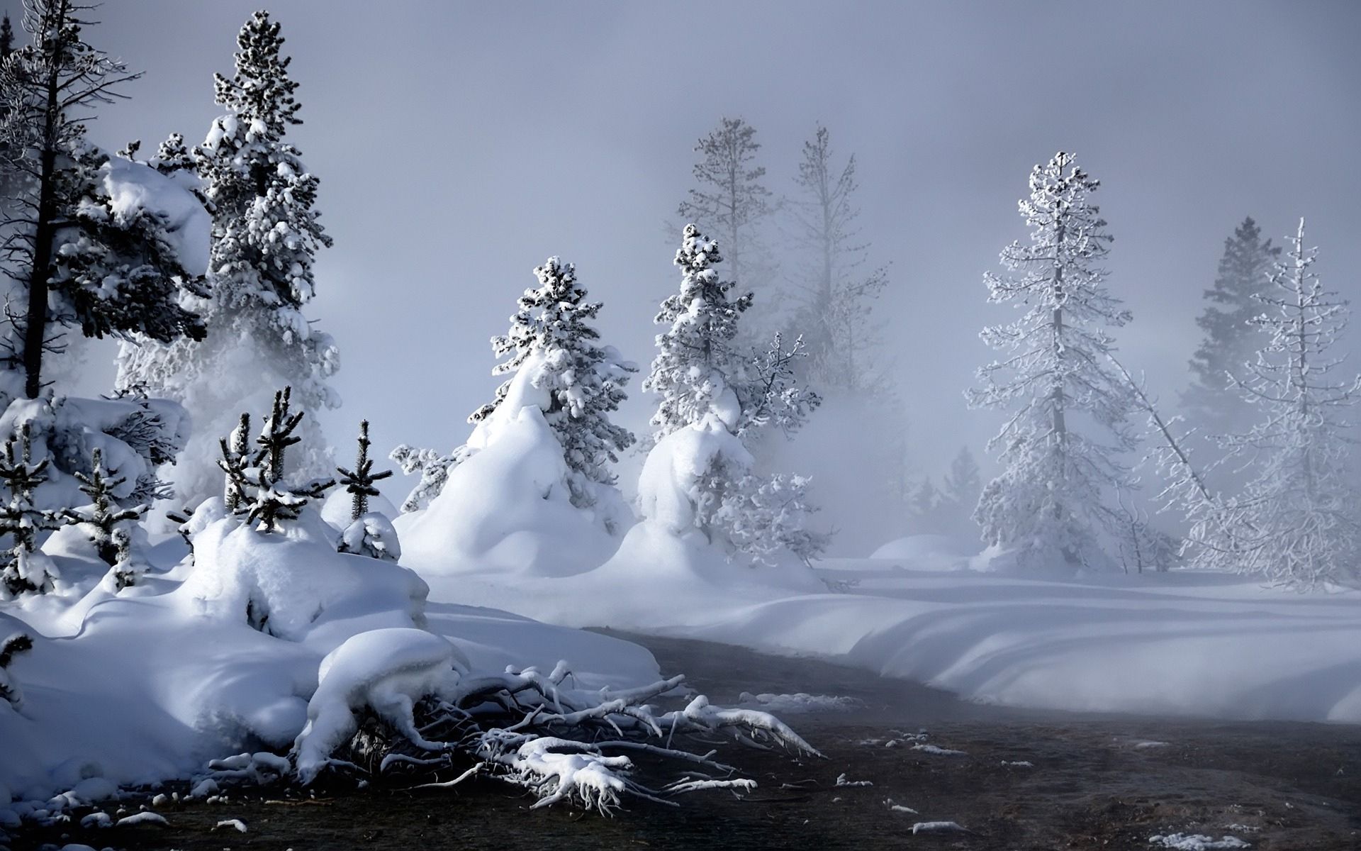 nature, water, rivers, trees, snow, fog, steam, ate