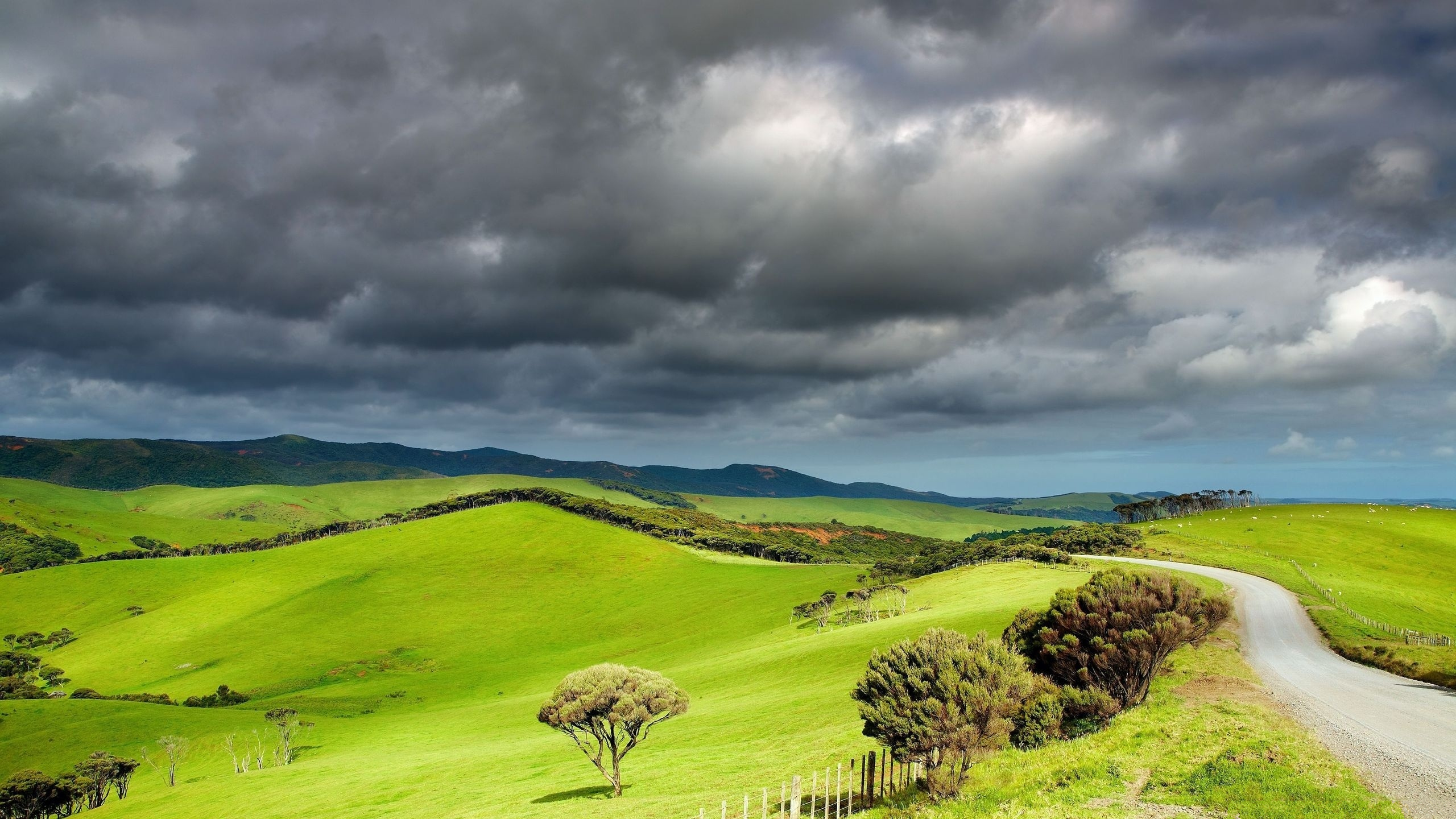 Download mobile wallpaper Road, Valley, Man Made, Greenery for free.