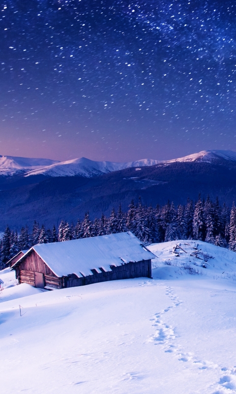 Download mobile wallpaper Winter, Sky, Stars, Night, Snow, Mountain, Forest, Starry Sky, Earth, Cabin for free.