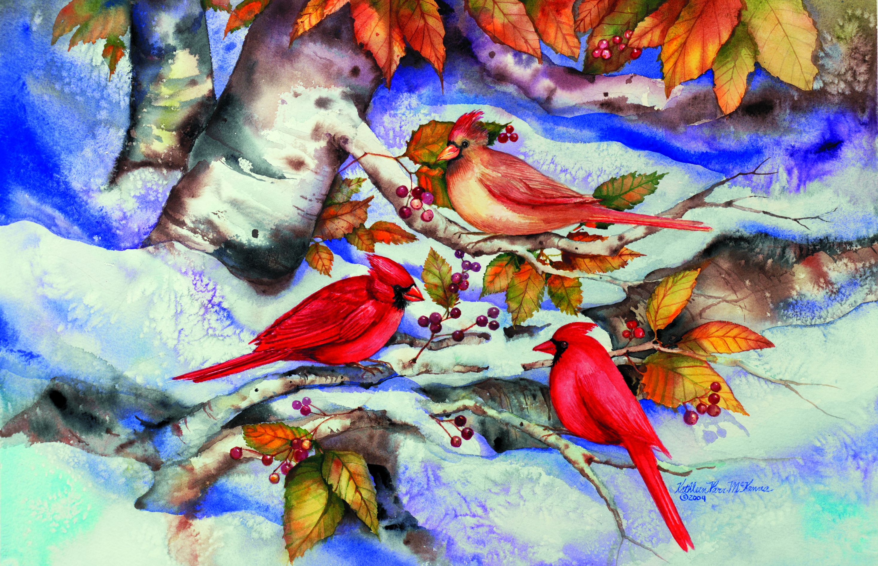 Free download wallpaper Cardinal, Birds, Animal on your PC desktop
