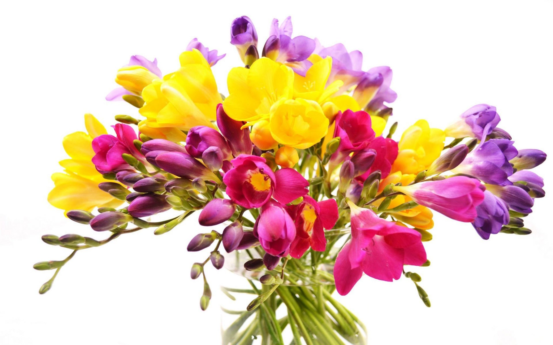 Скачать обои бесплатно Цветок, Цвета, Ваза, Красочный, Весна, Тюльпан, Желтый Цветок, Фиолетовый Цветок, Сделано Человеком картинка на рабочий стол ПК