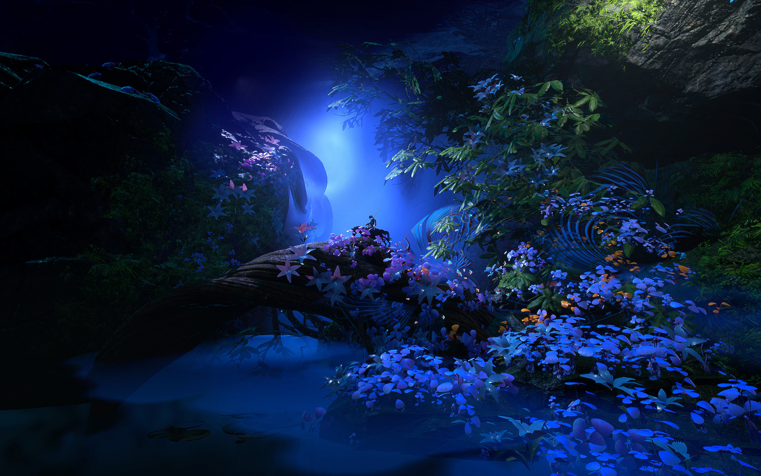 Download mobile wallpaper Landscape, Fantasy, Night, Flower, Warrior for free.