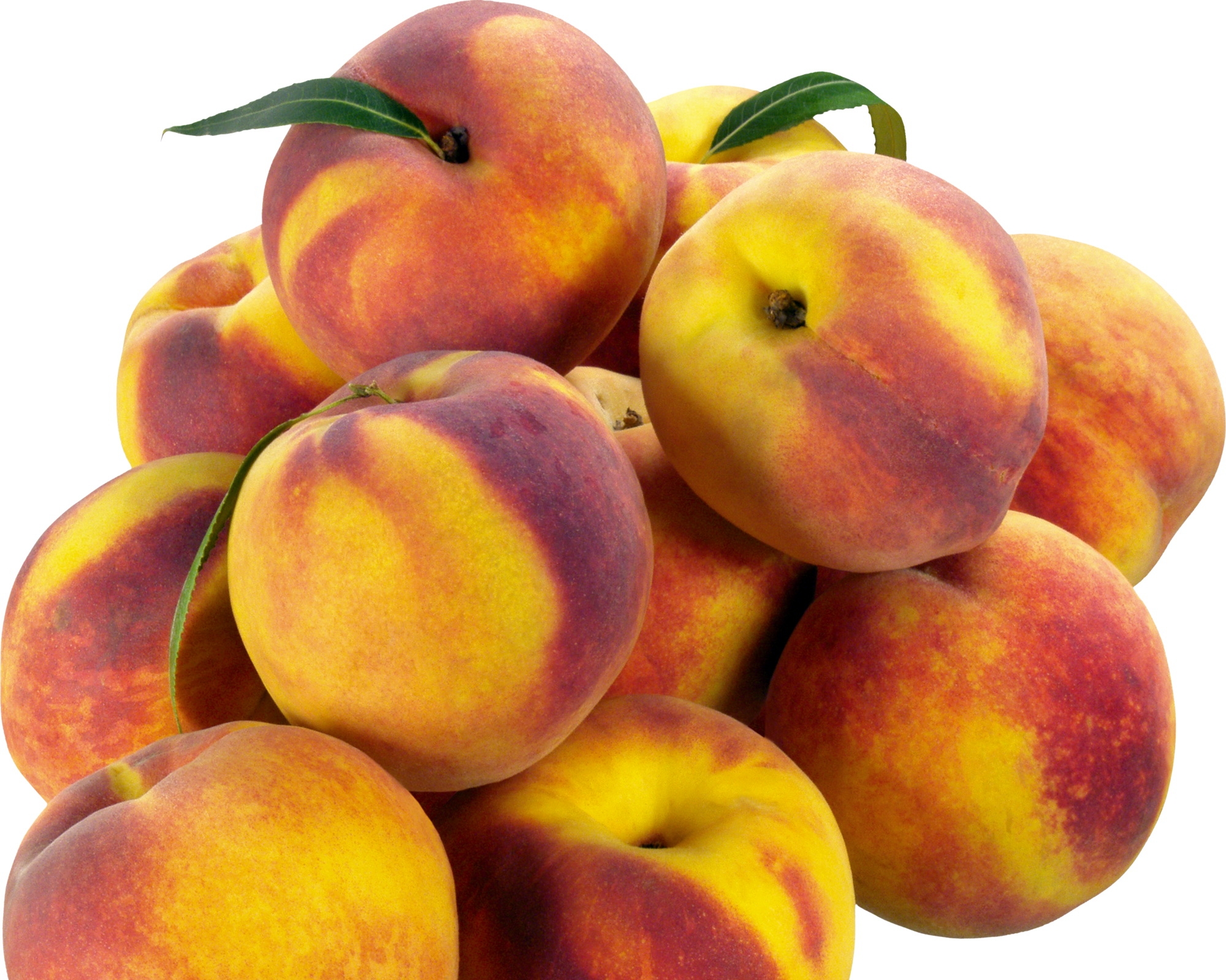 110119 скачать картинку персики, ветка, фрукты, еда - обои и заставки бесплатно
