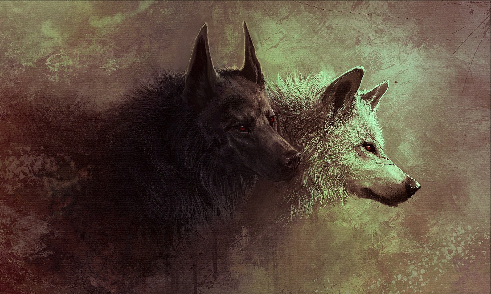 wolf, animal, wolves