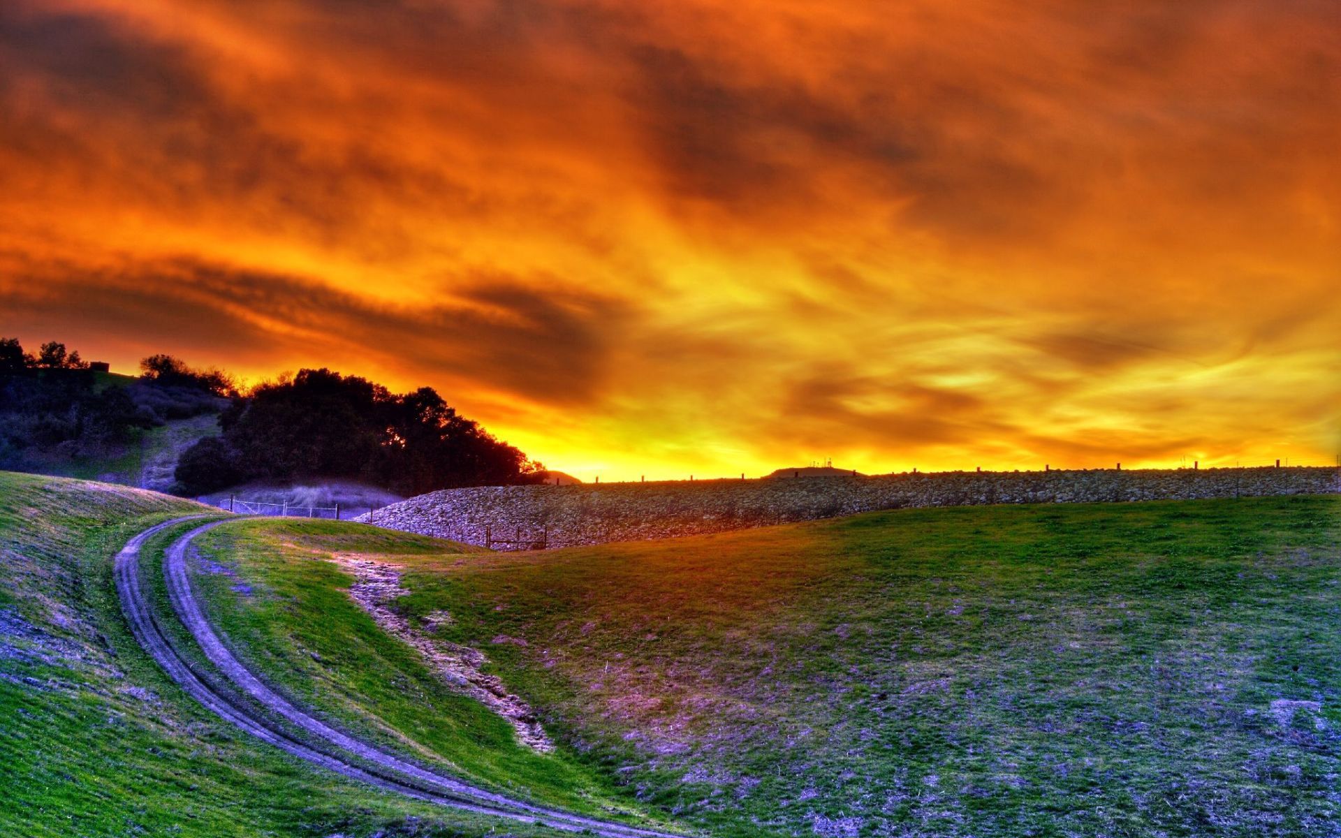 Laden Sie das Natur, Sunset, Clouds, Straße, Abend, Sky, Blumen, Feld-Bild kostenlos auf Ihren PC-Desktop herunter